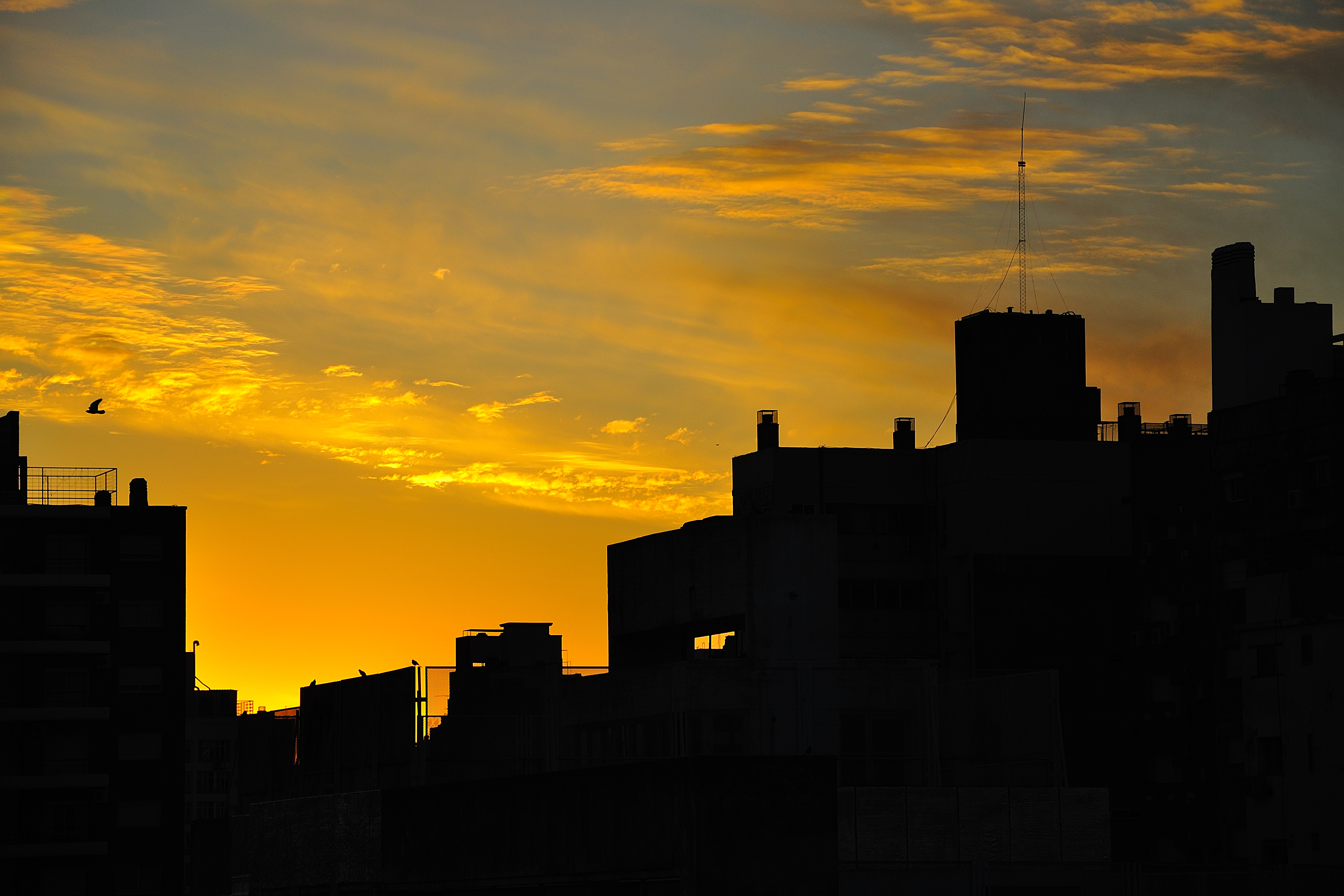 Atardece en la ciudad