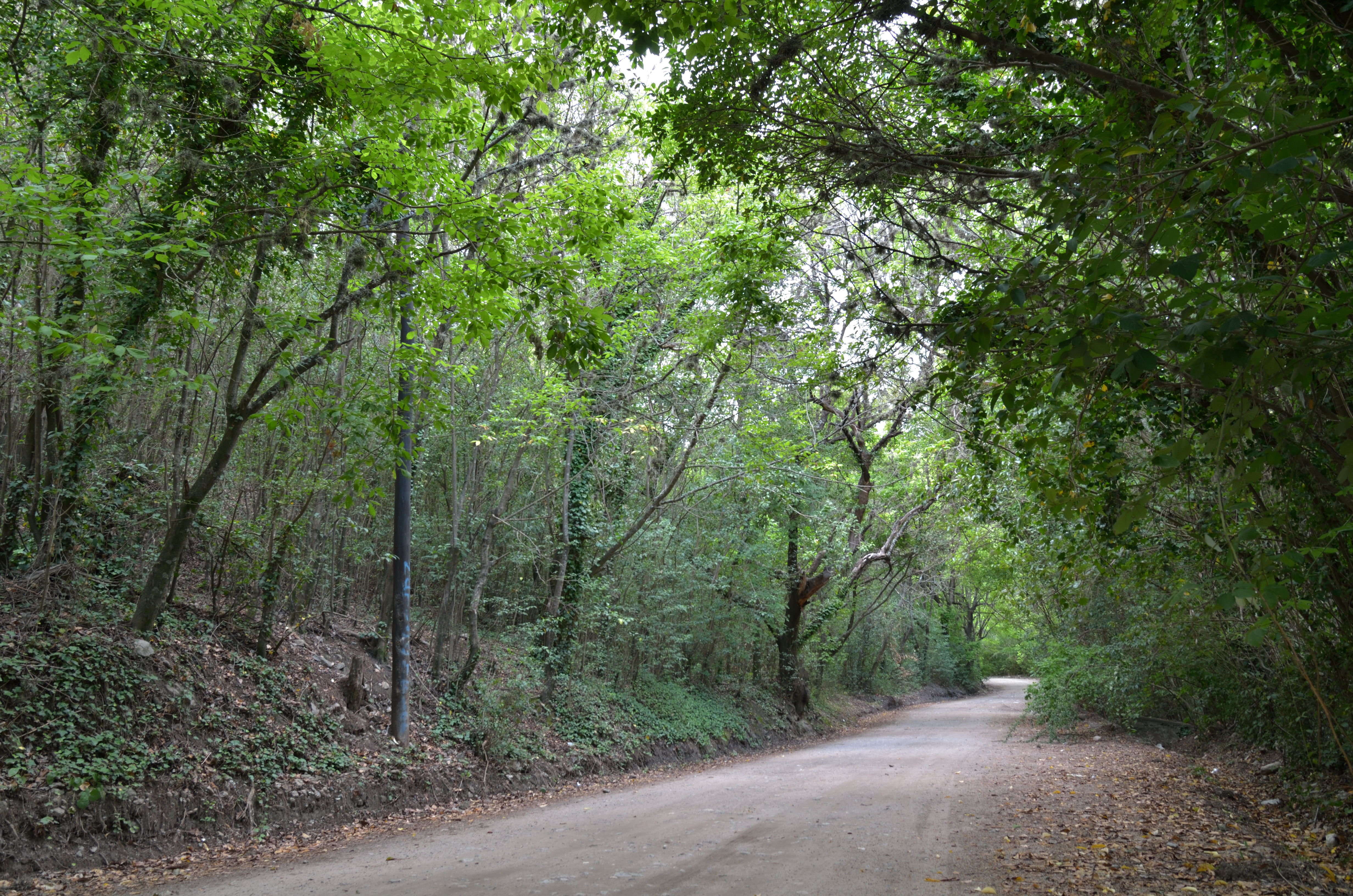 Caminito cordobés (1)