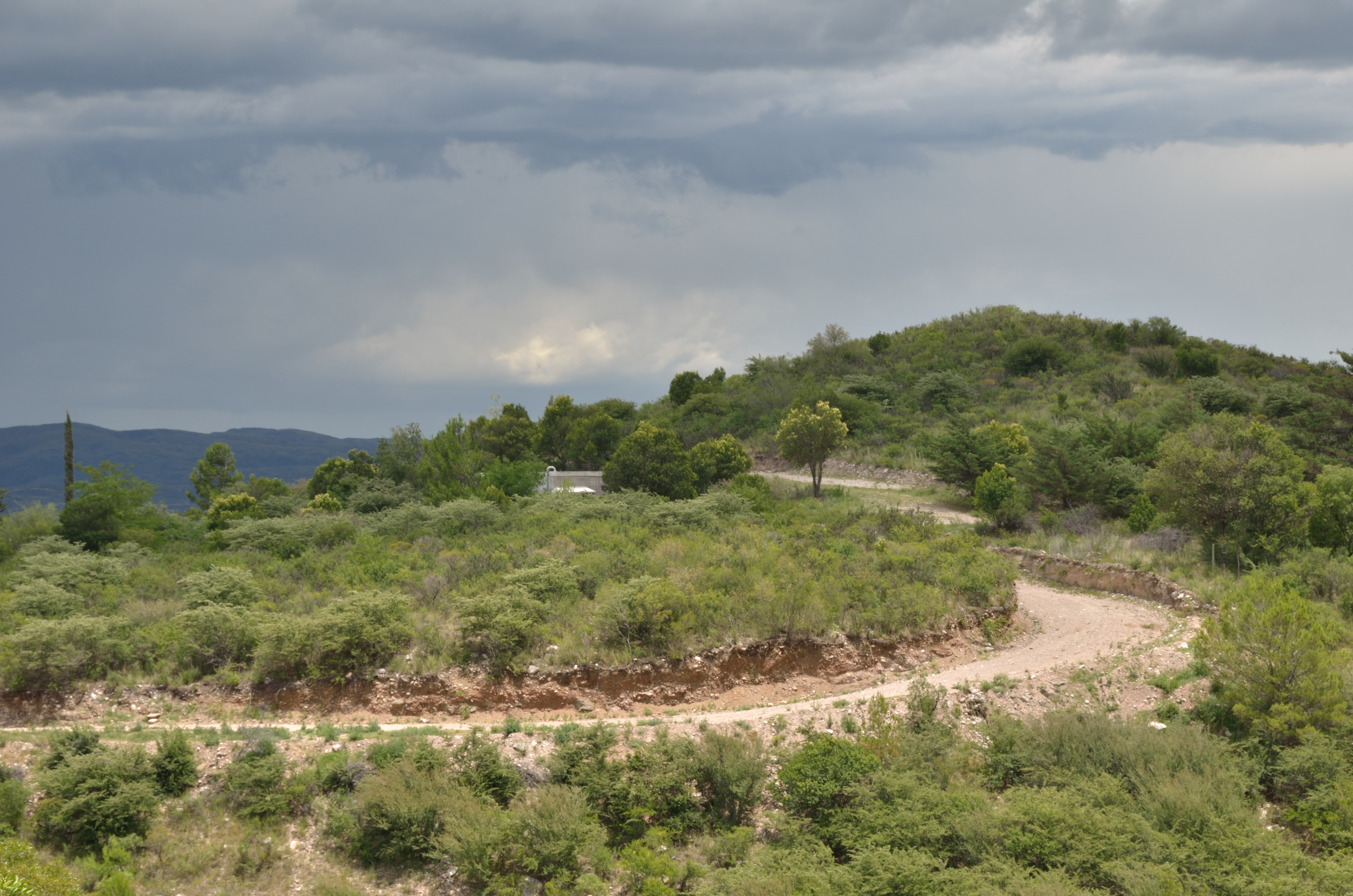 Caminito cordobés (2)