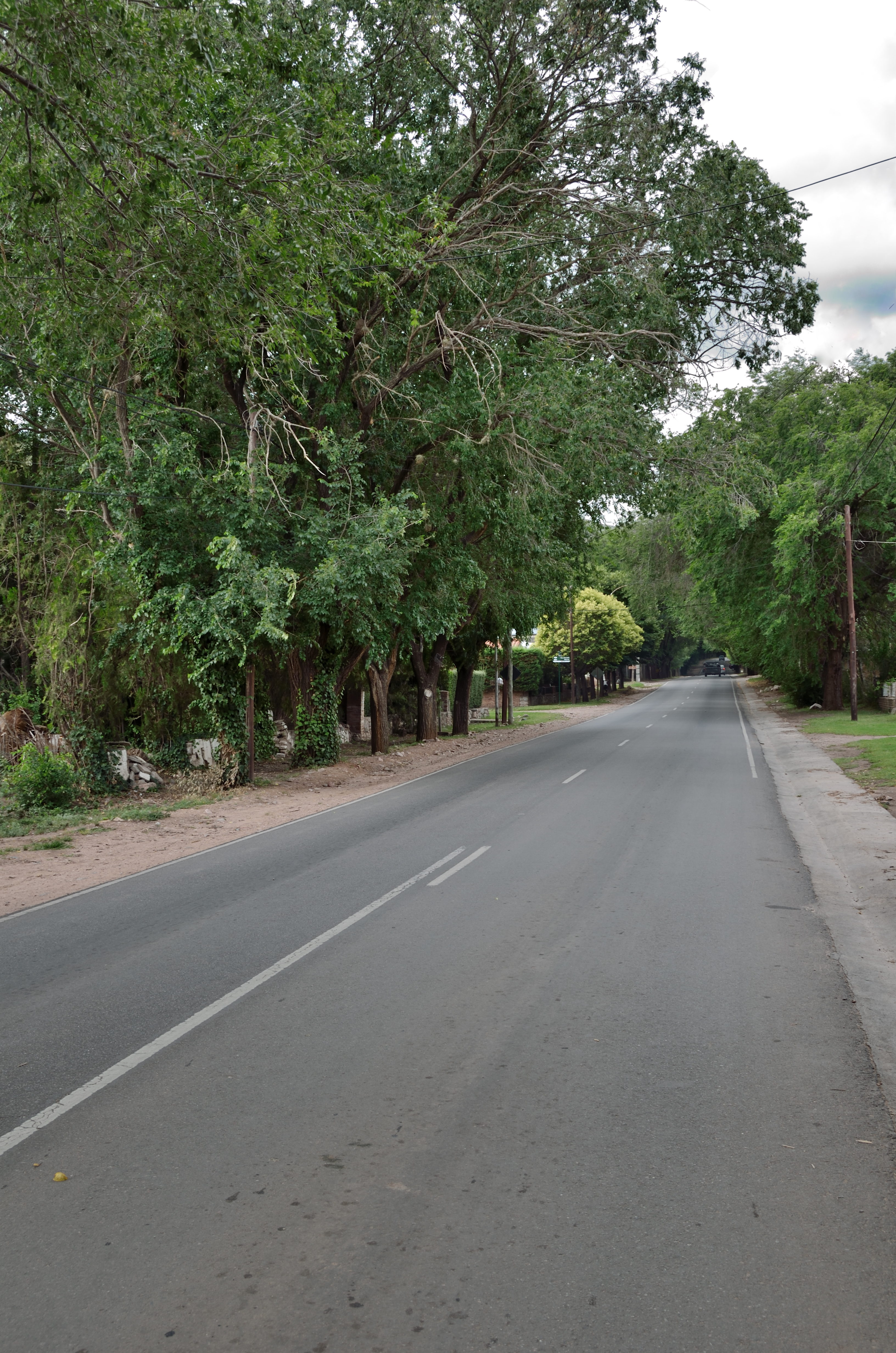 Camino de Córdoba