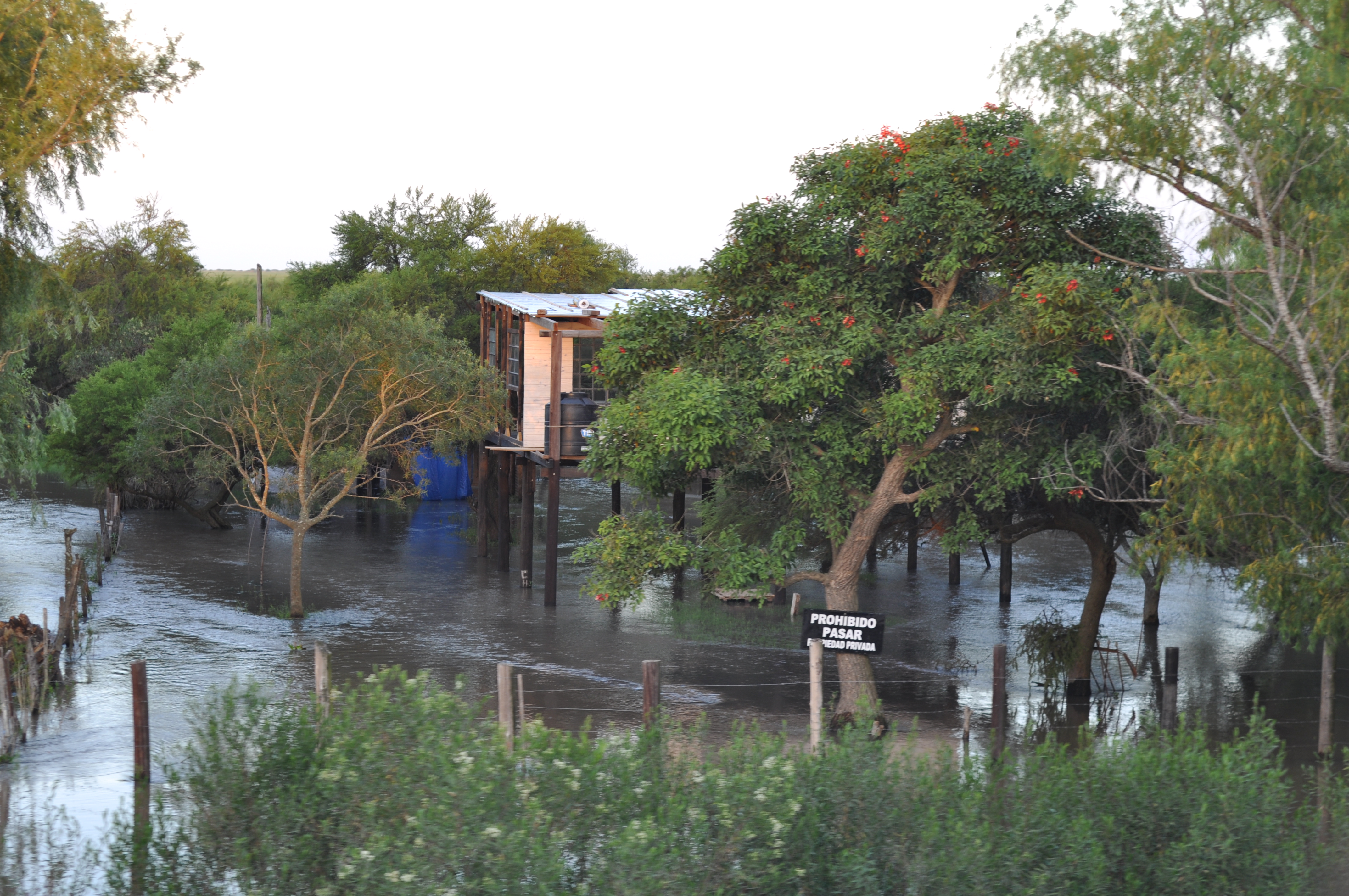 Casas en las islas (4)