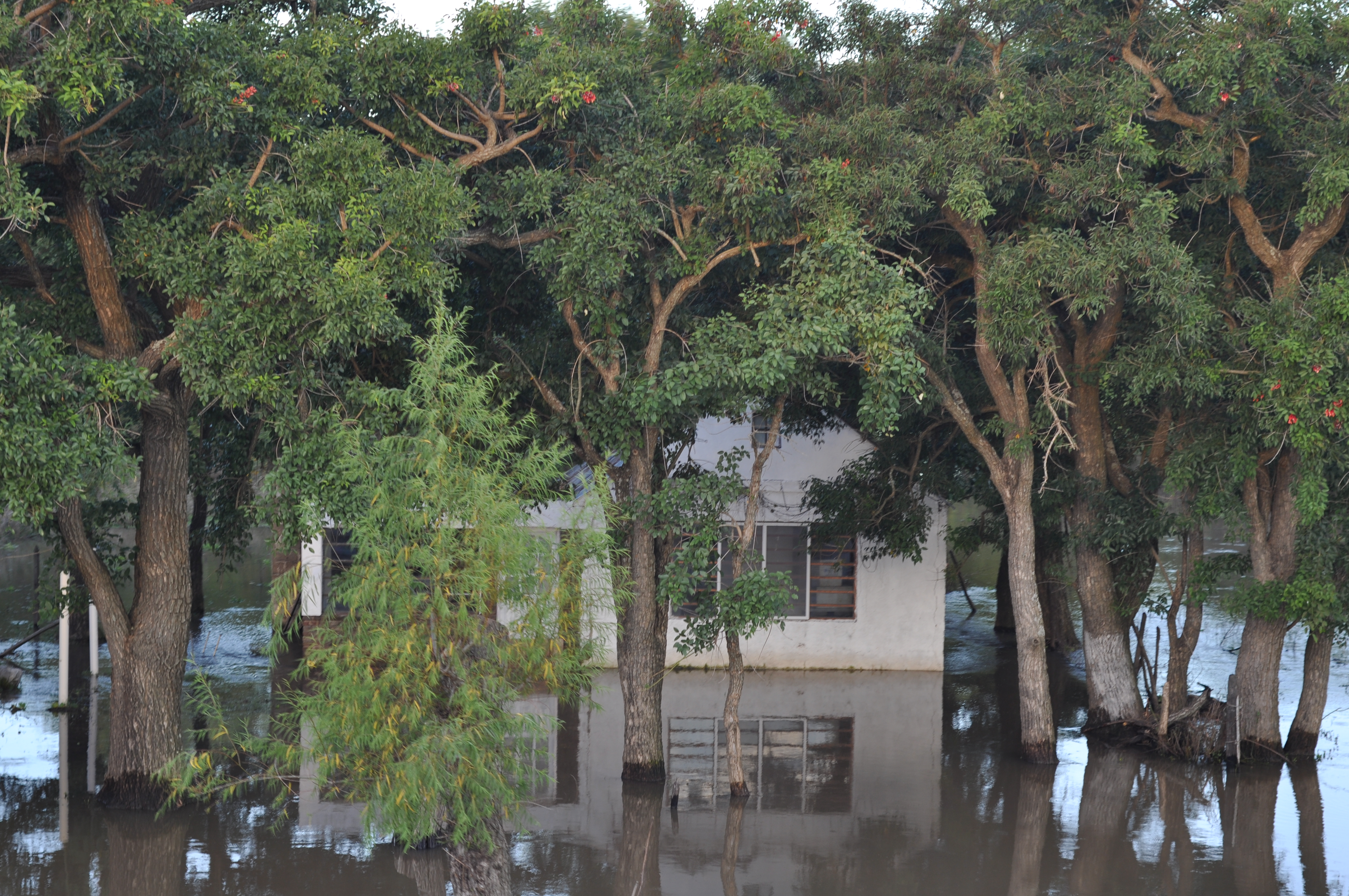Casas en las islas (7)