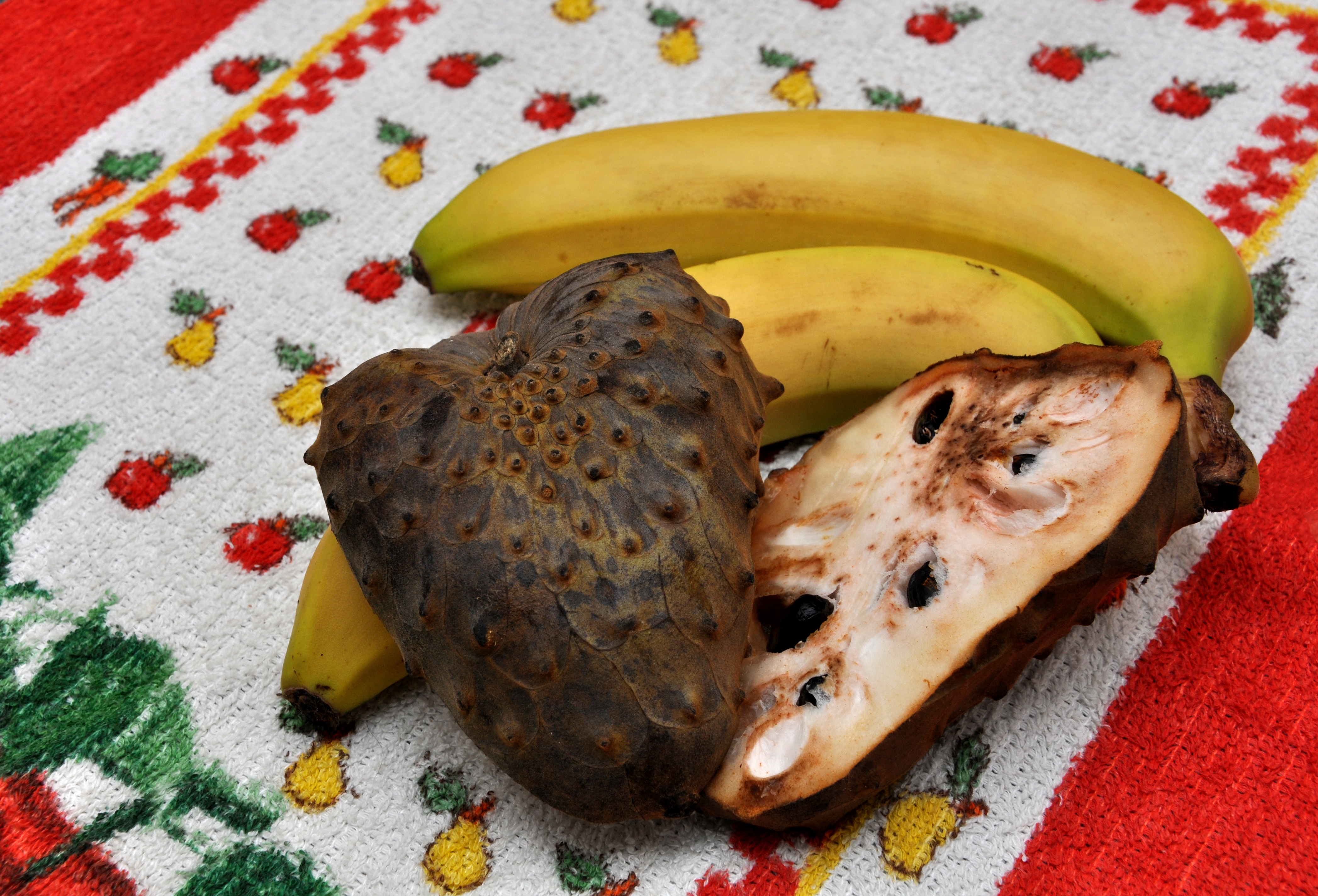 Chirimoya (Annona cherimola) (2)