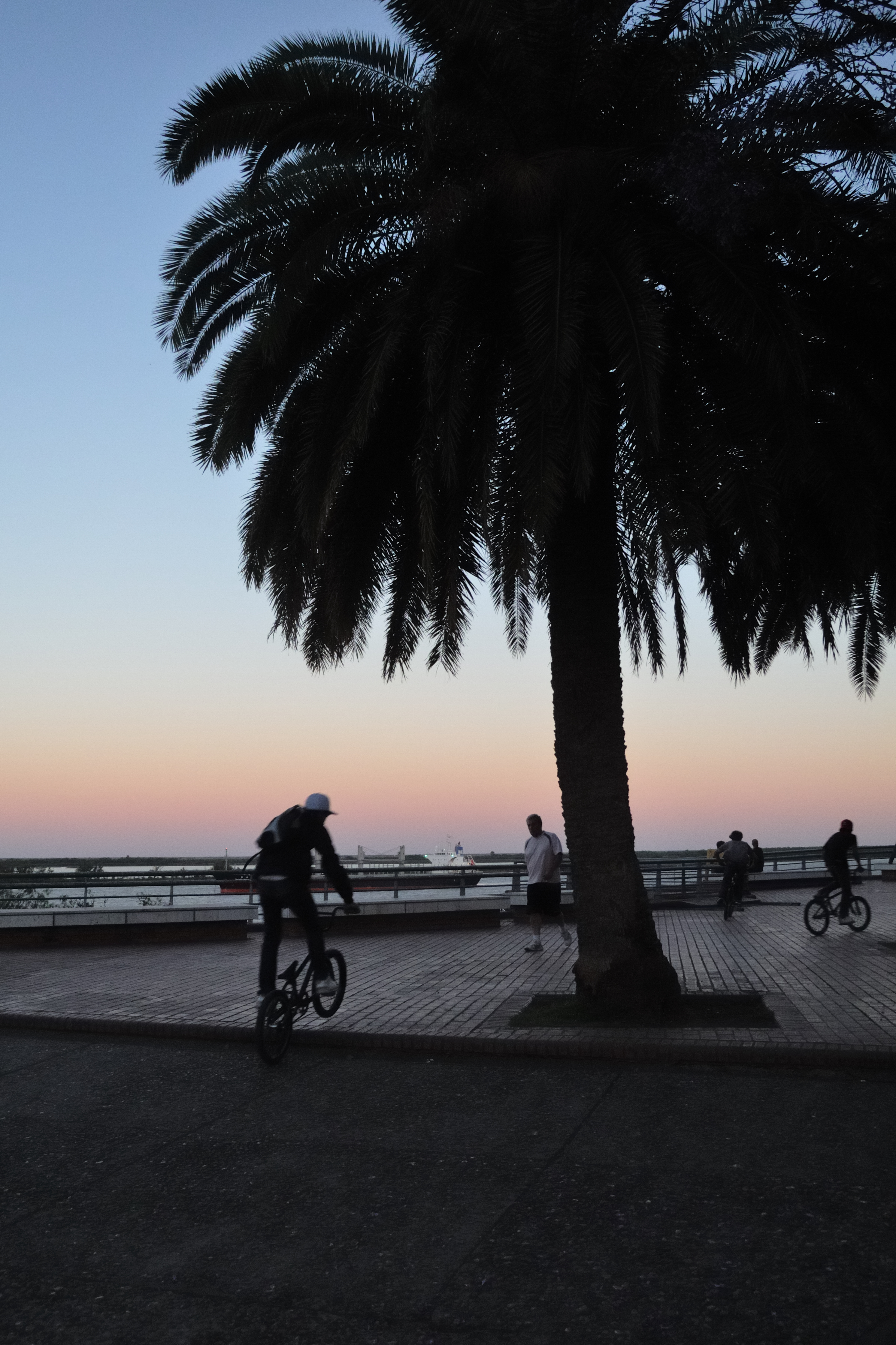 Ciclistas al atardecer