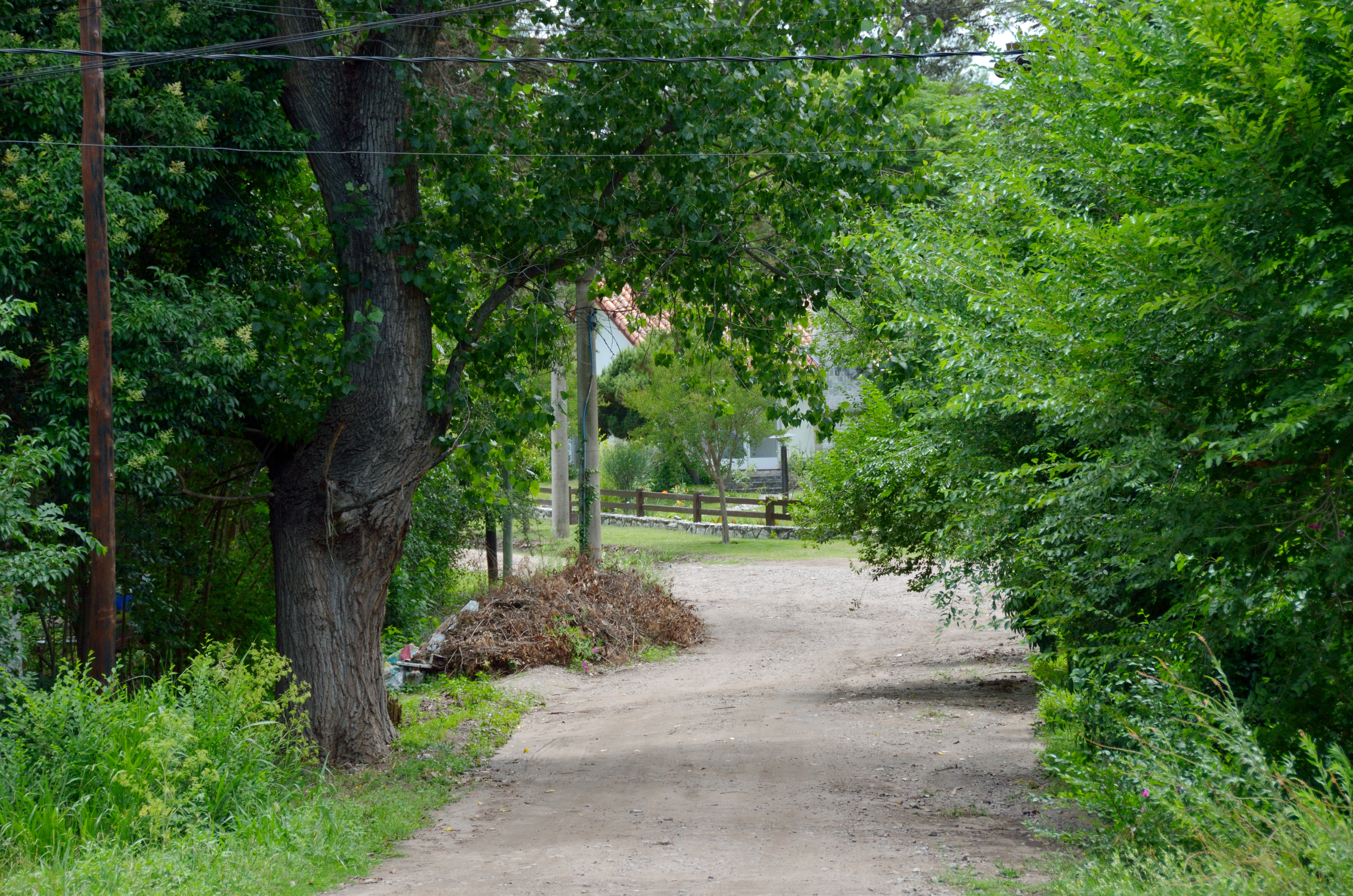 El camino de ingreso a la casa