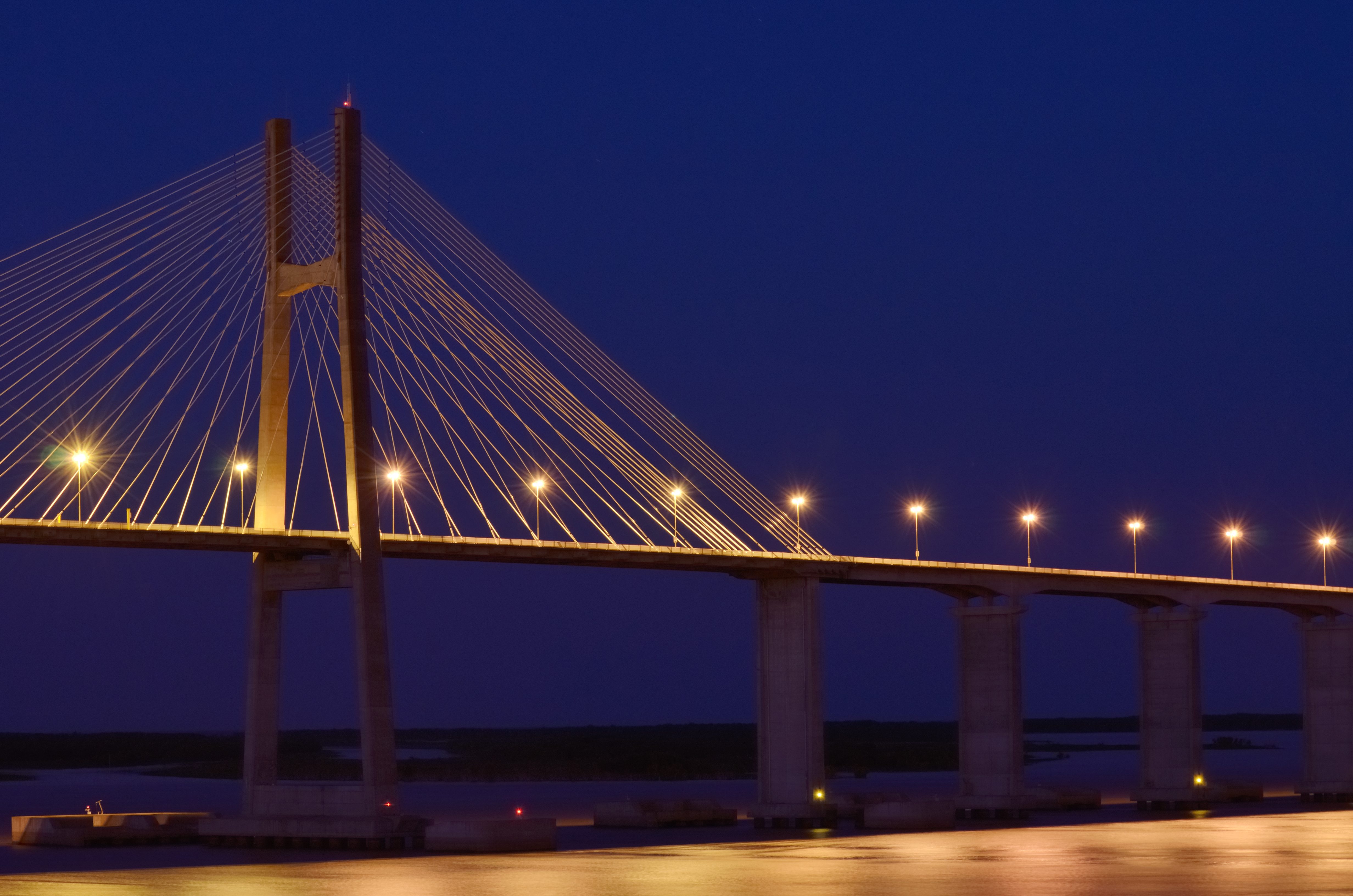 El puente Rosario-Victoria (8)