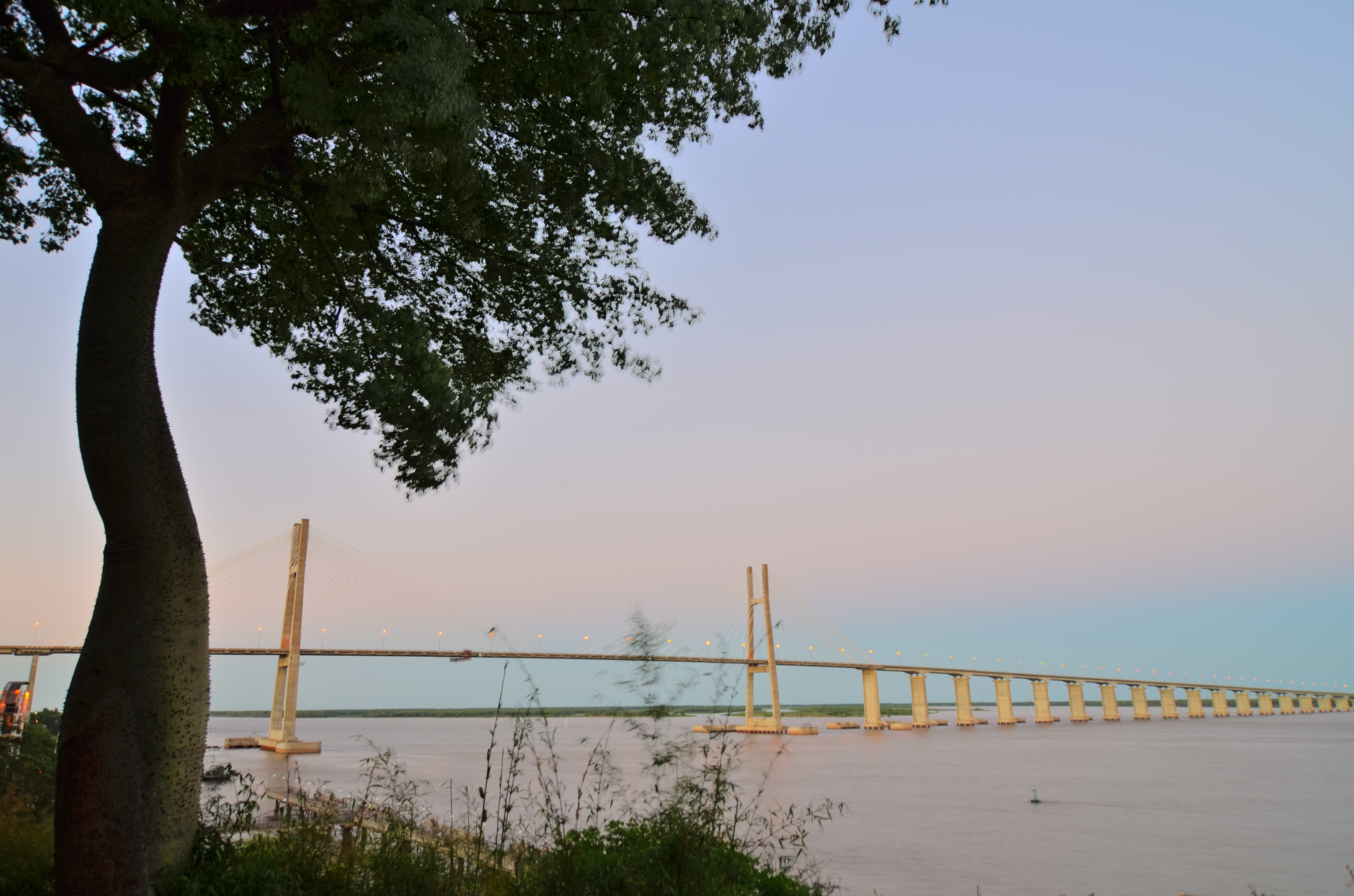 El puente Rosario-Victoria desde la barranca (1)