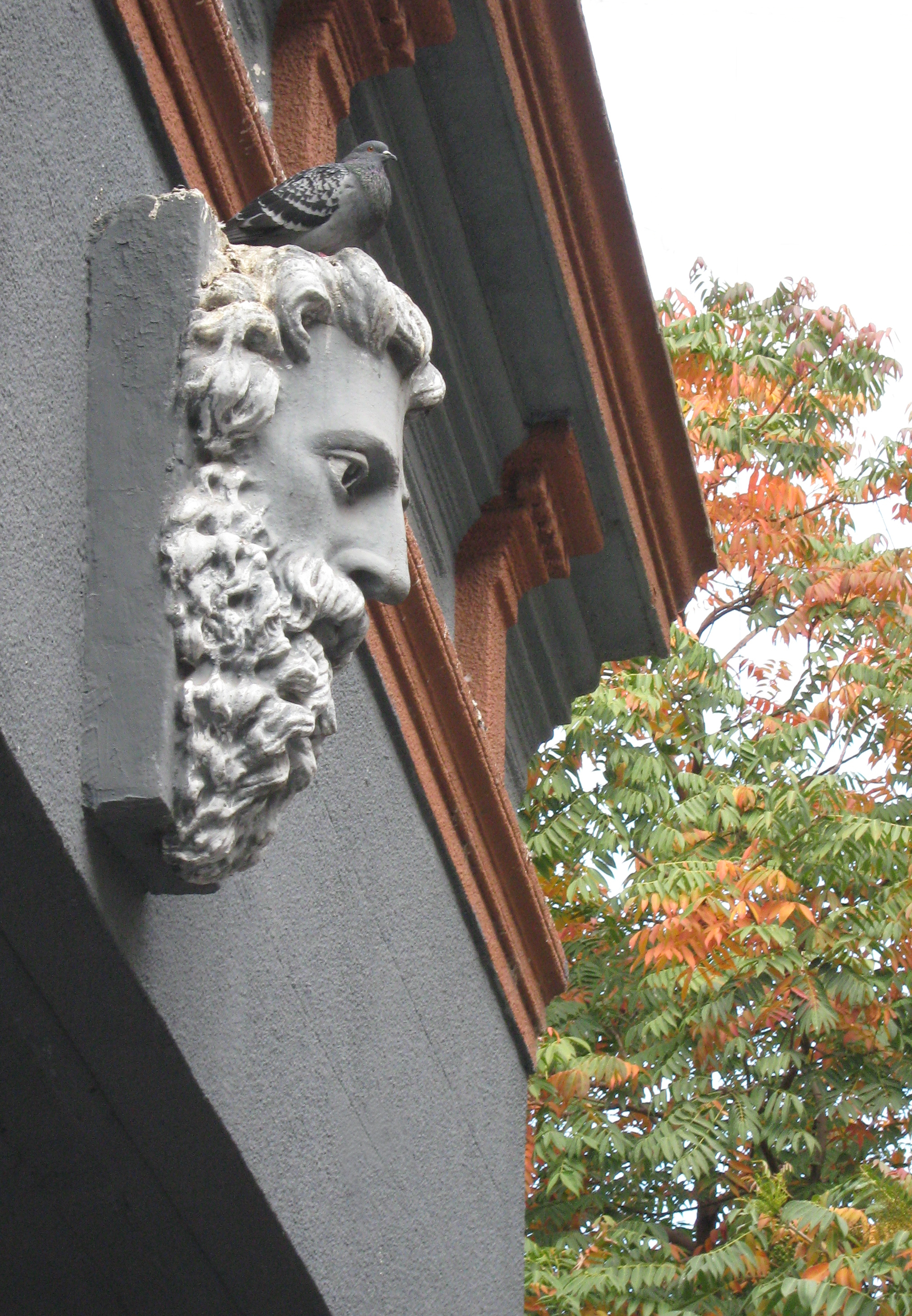 El rostro y la paloma