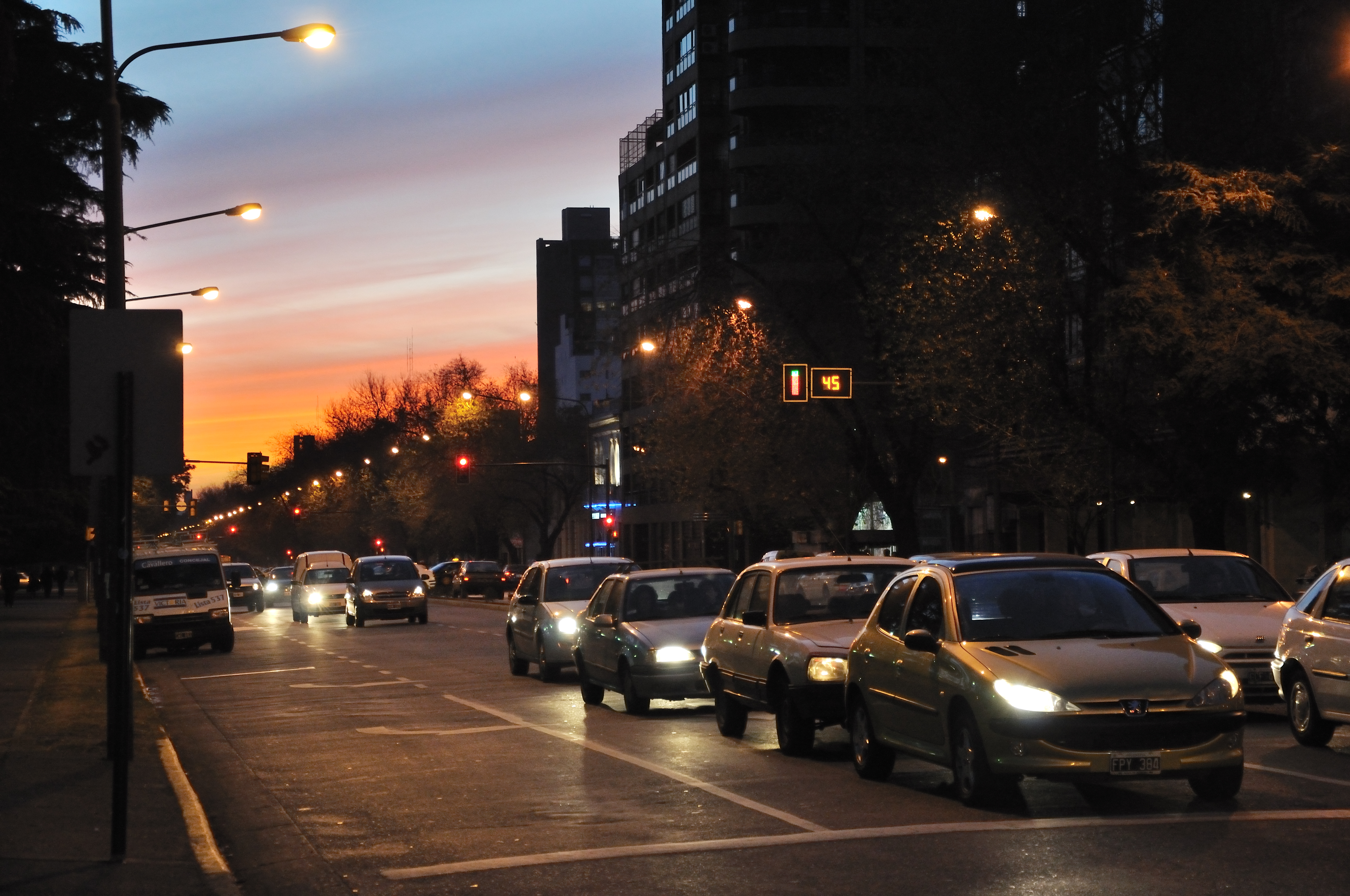 El tráfico en la avenida Pellegrini (2)