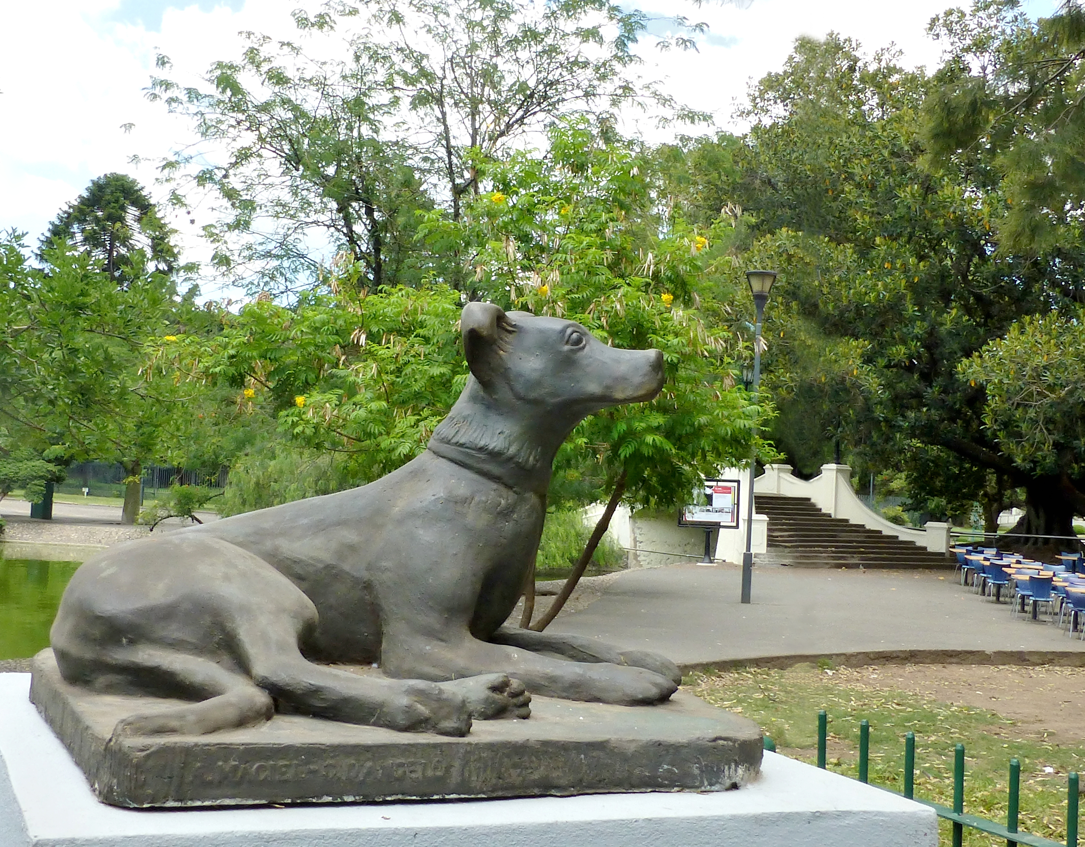 Estatua de homenaje al animal comunitario