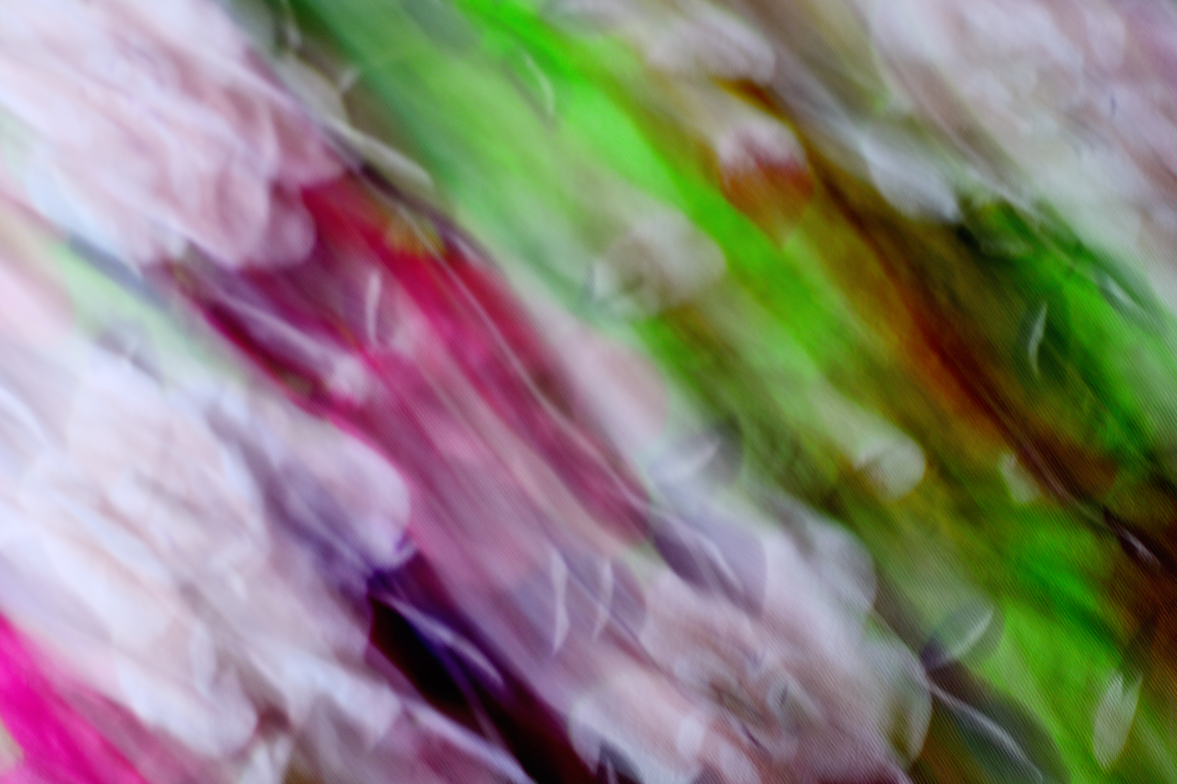 Flores en movimiento