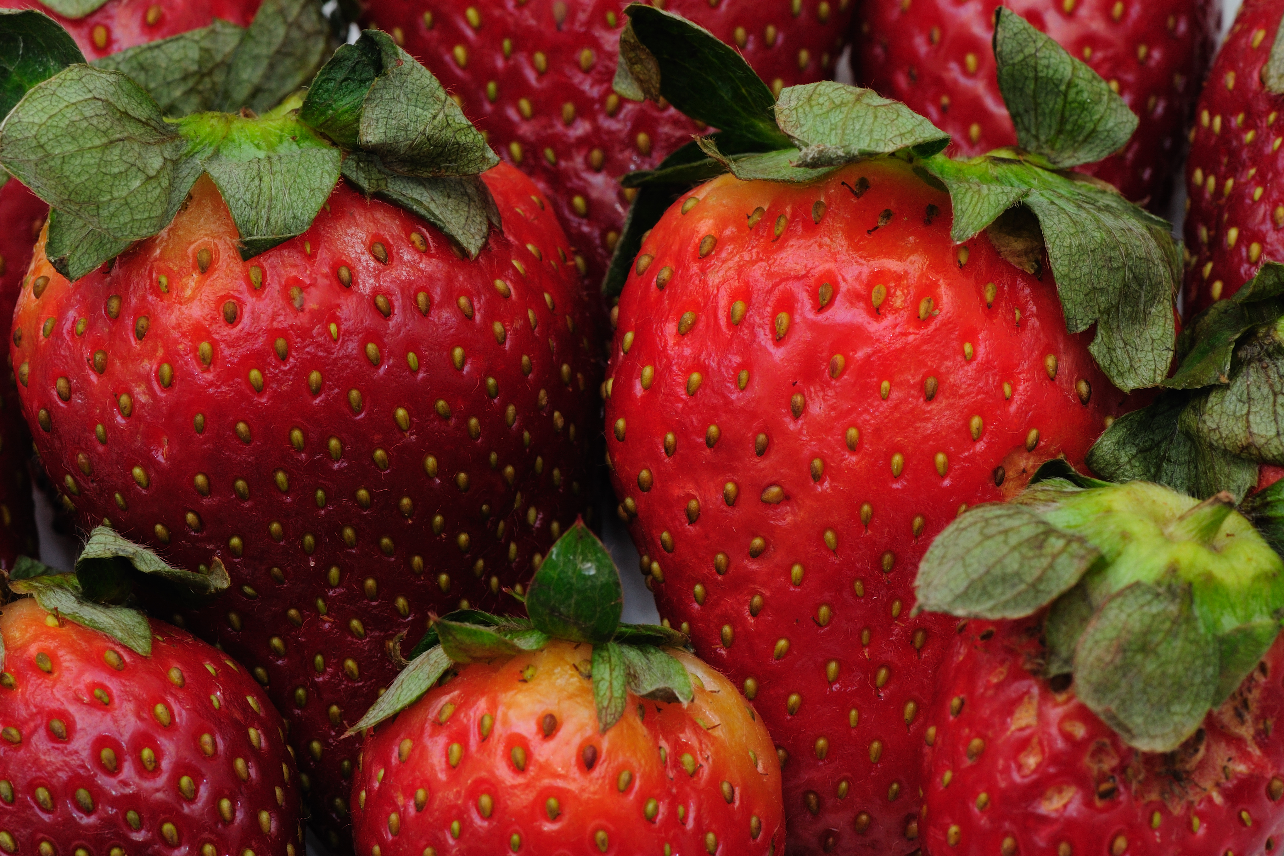 Frutillas (2)