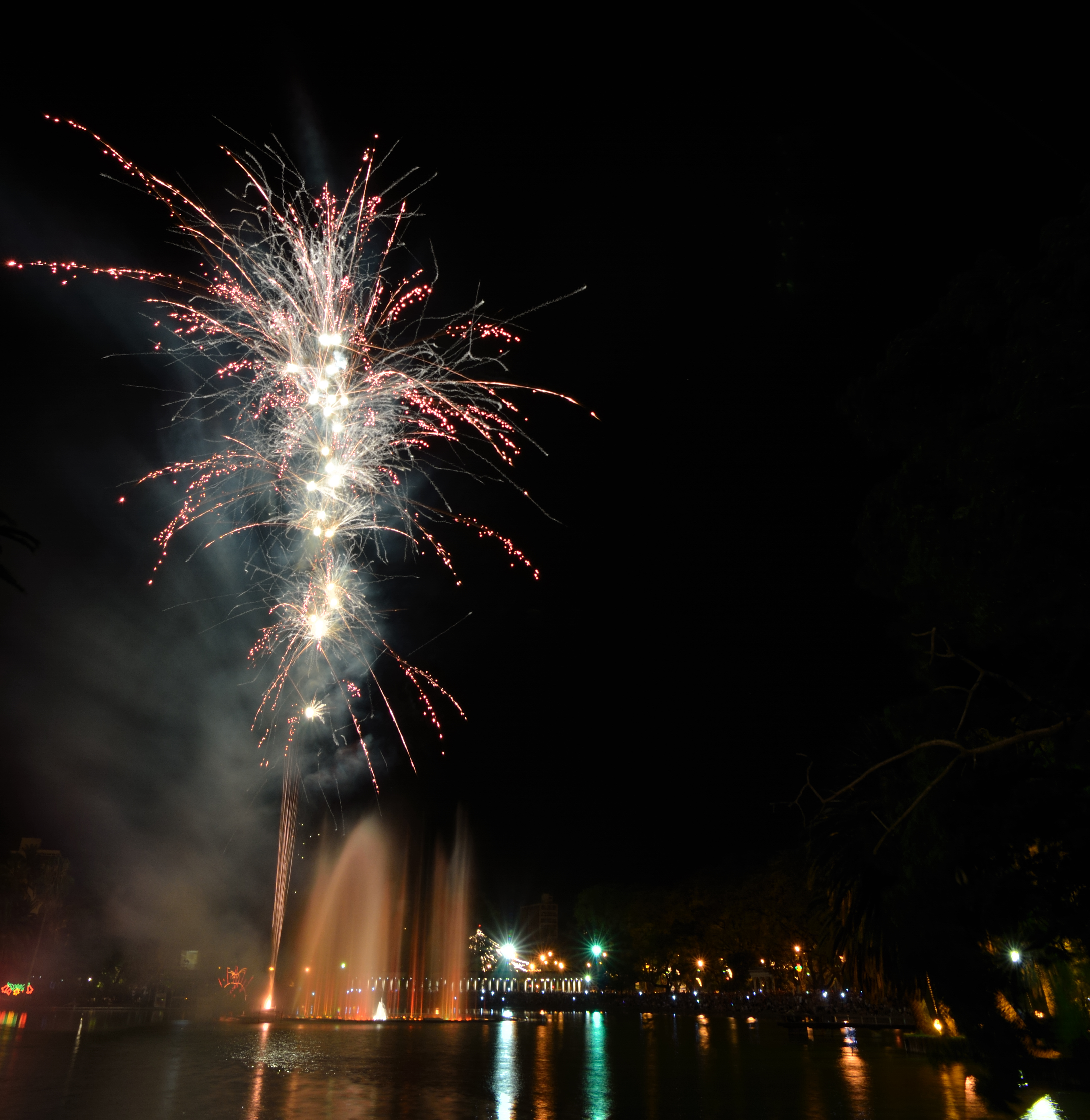 Fuegos artificiales en el laguito (1)