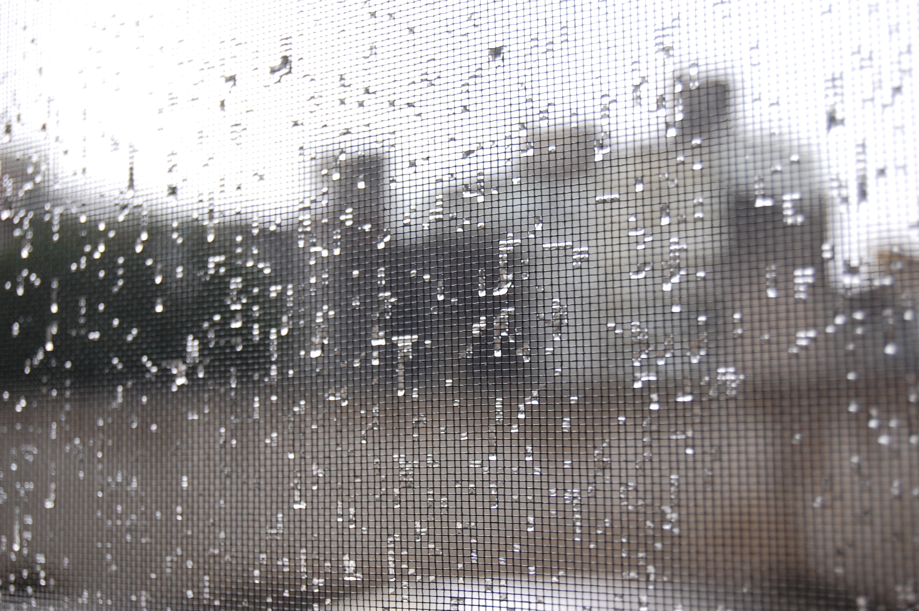 Gotas en la tela metálica
