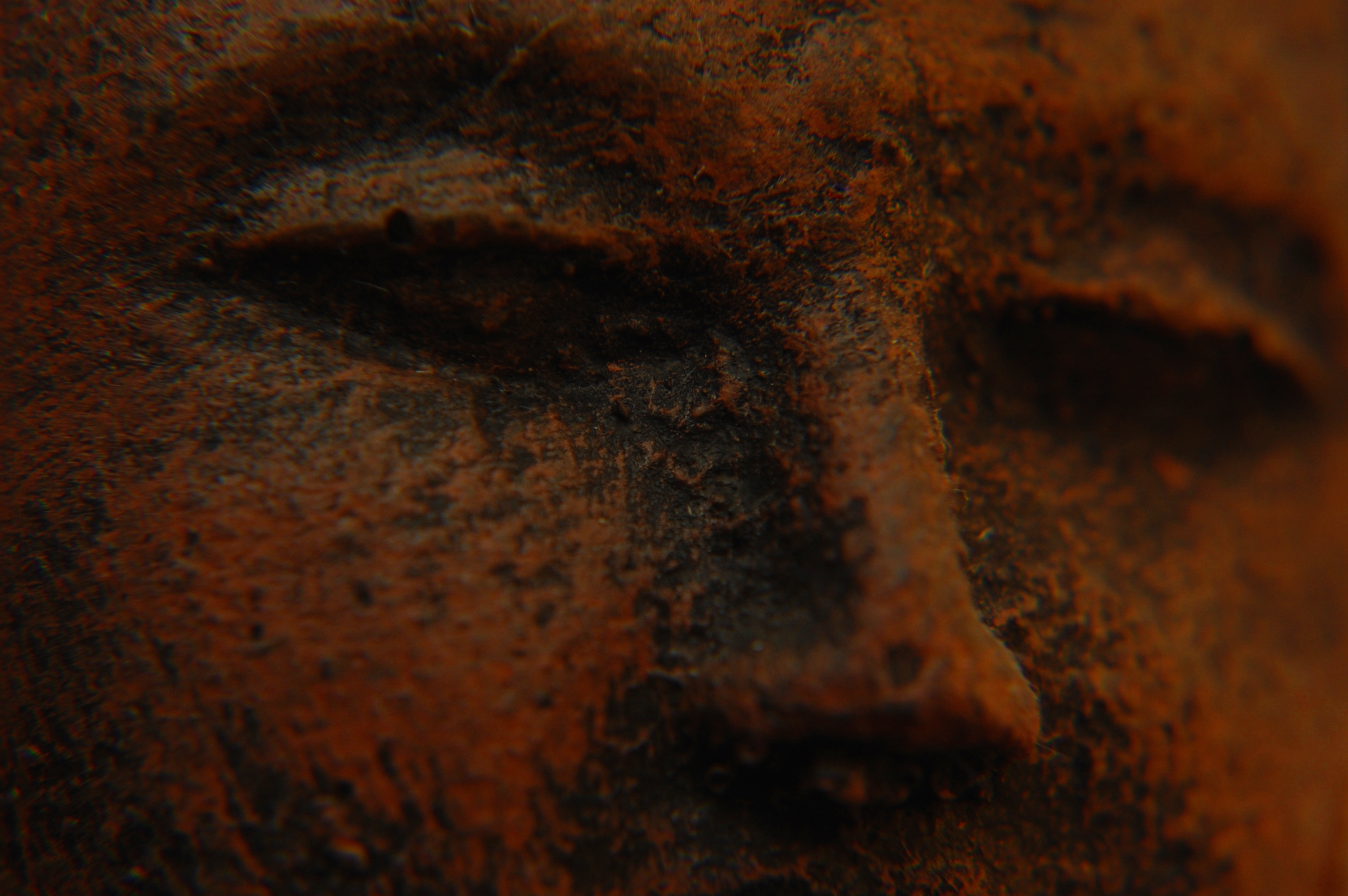 La mirada de Buda