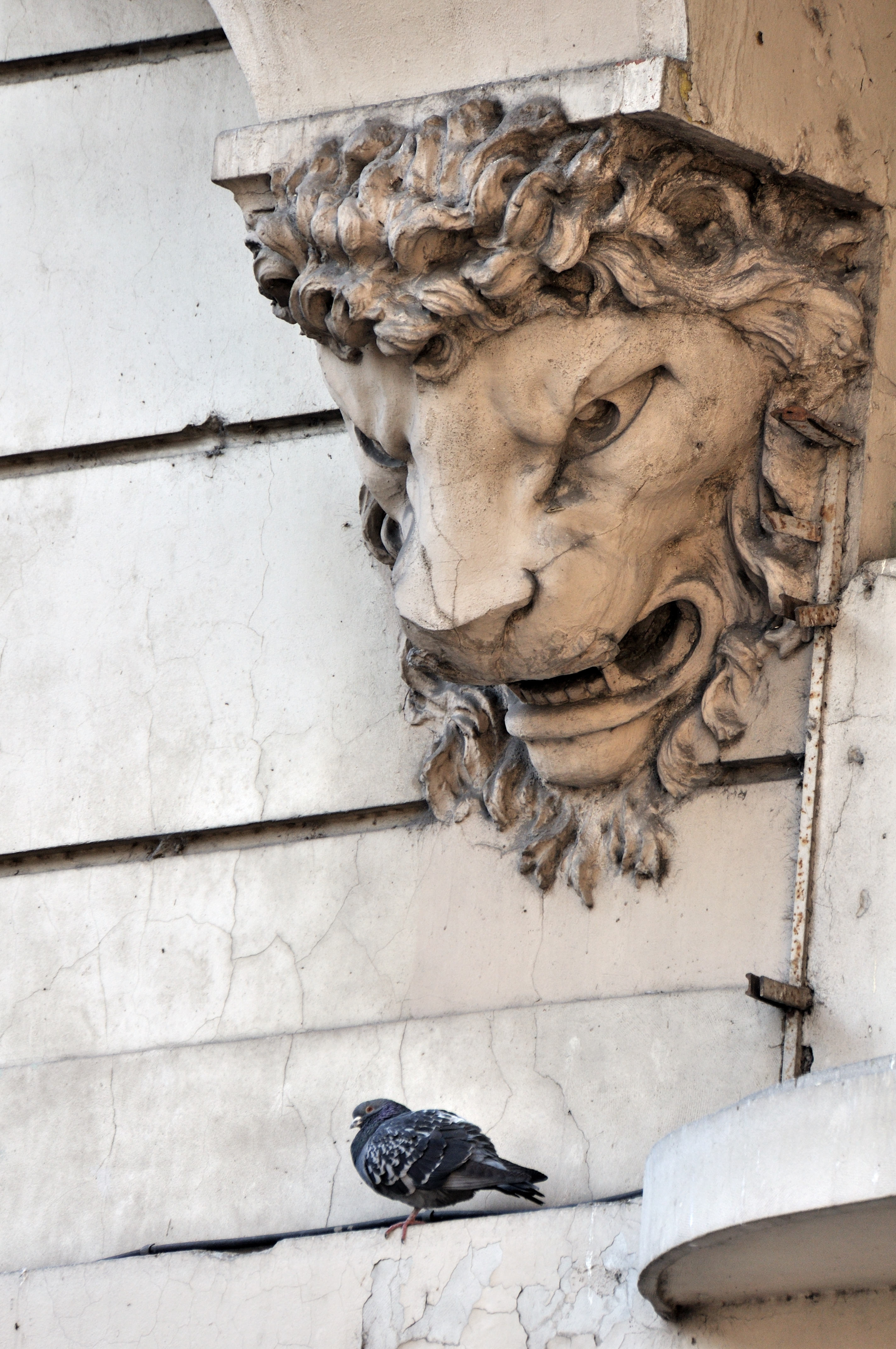 La paloma y el león