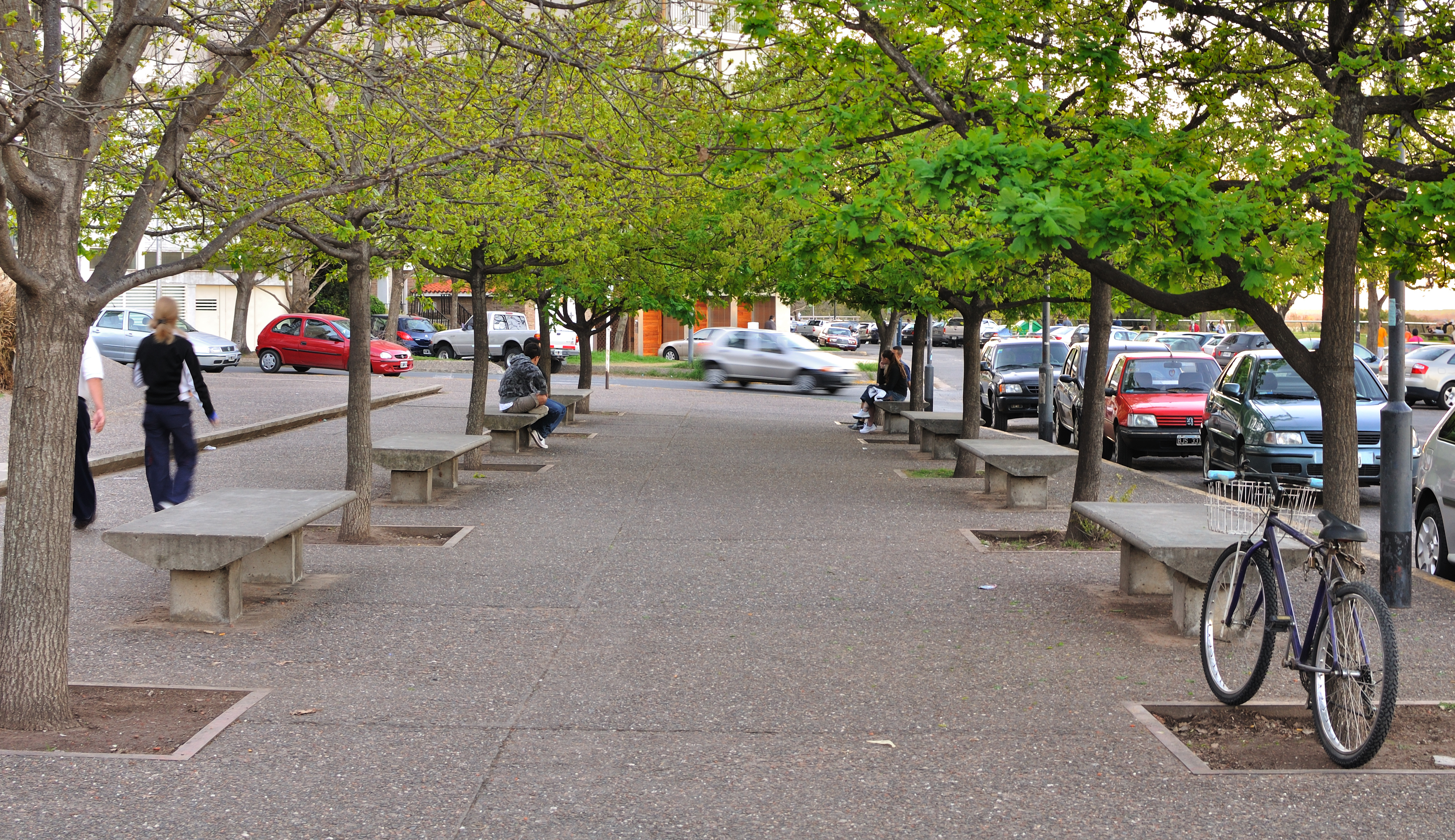 Los árboles, la vereda y la bicicleta