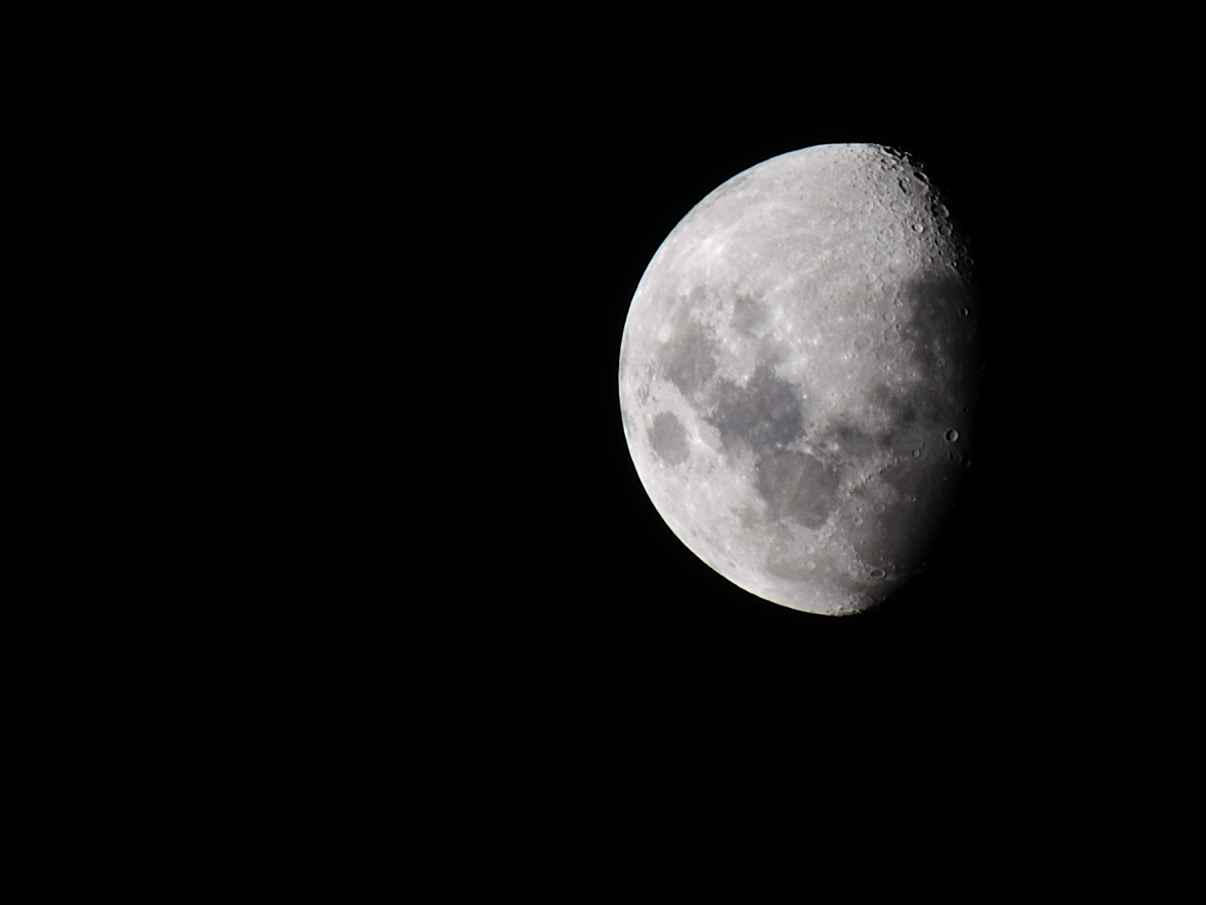 Luna (10)