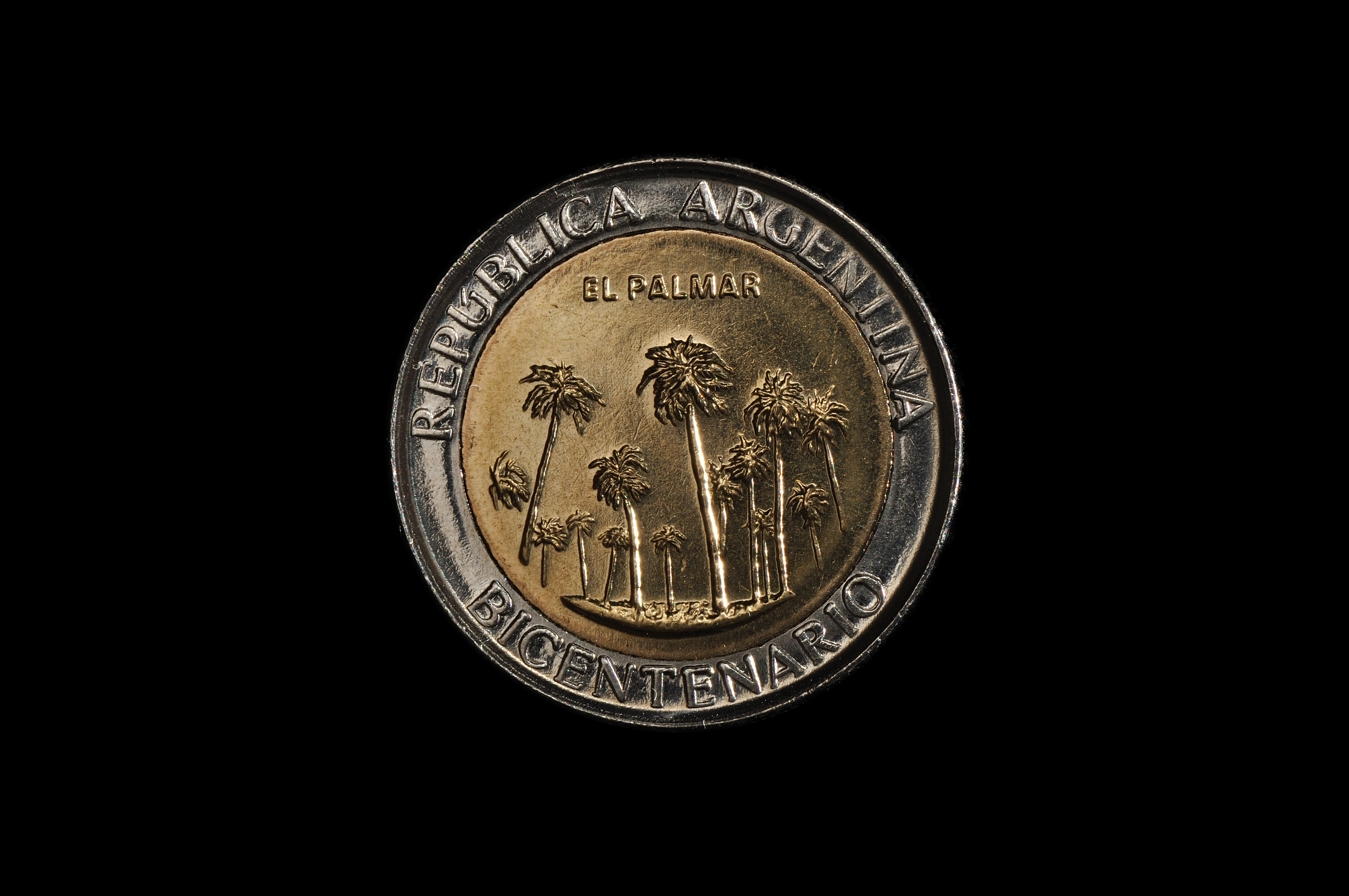 Moneda de un peso del bicentenario (El Palmar) (cara)