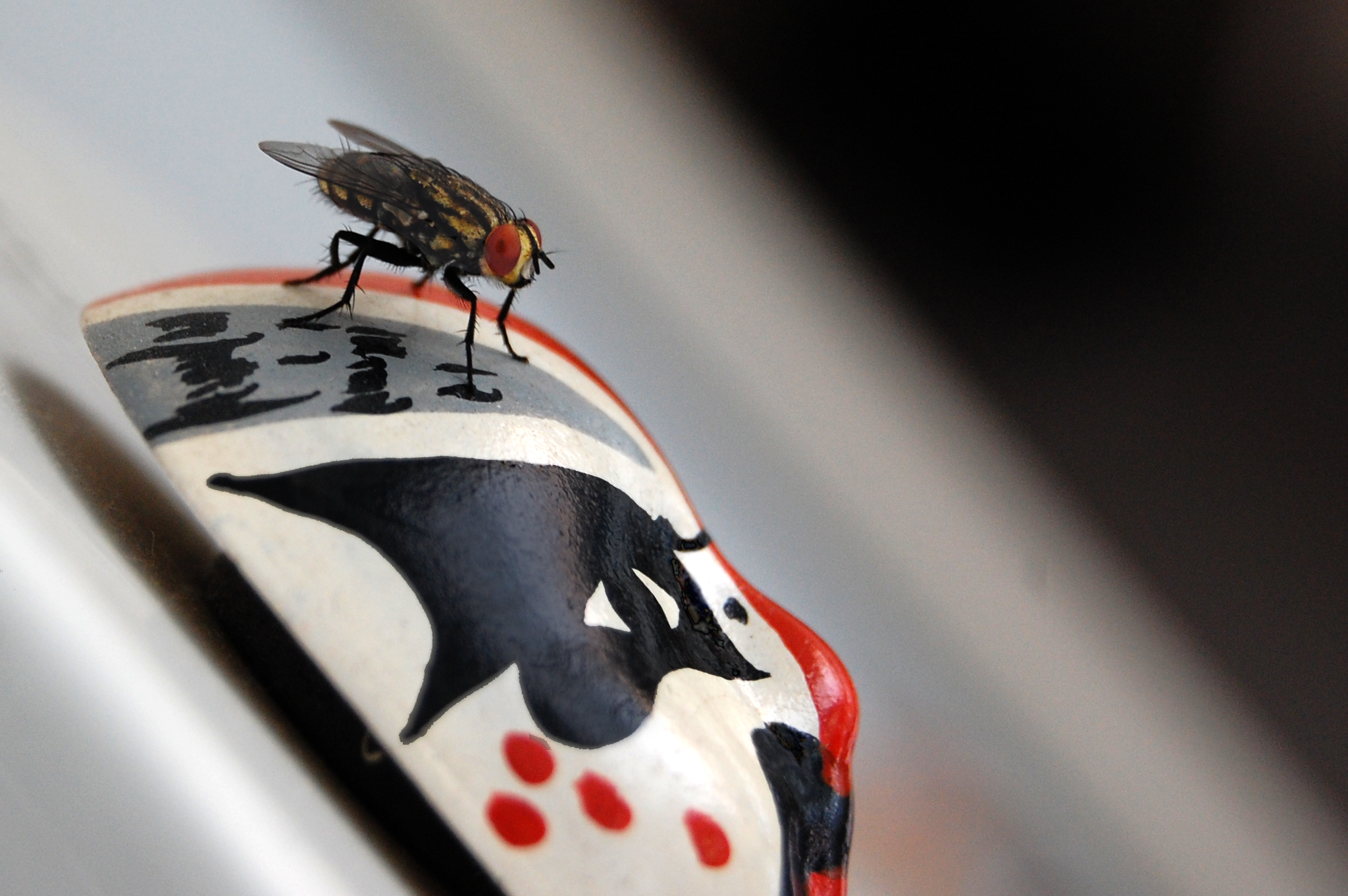 Mosca posada en una mascarita china