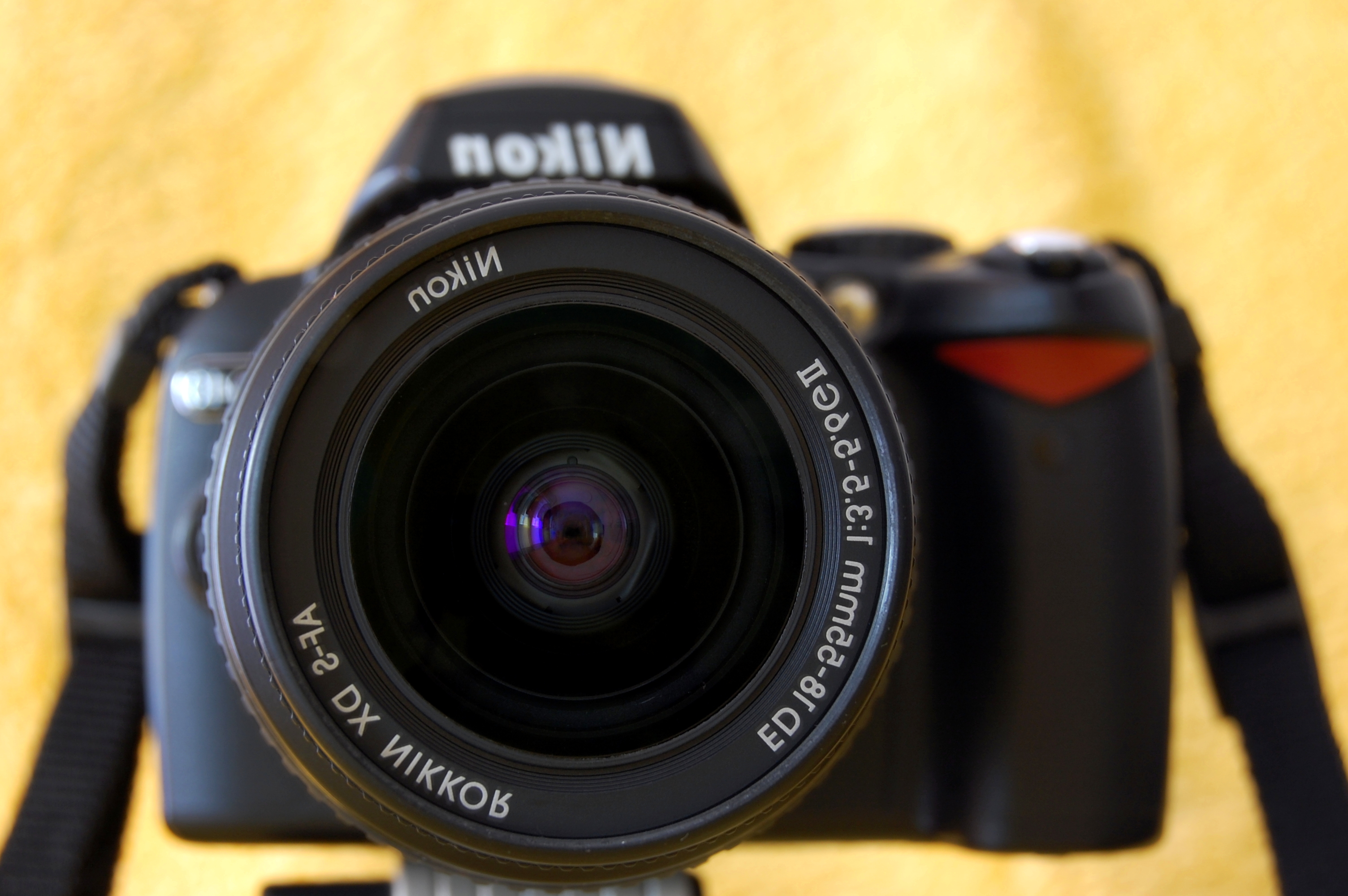 Nikon D40 useless selfportrait