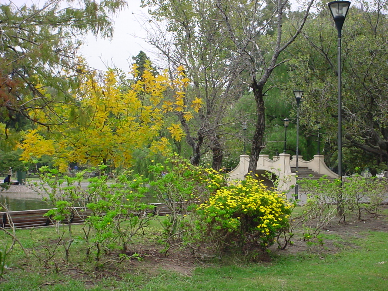 Puentecito del Parque Independencia