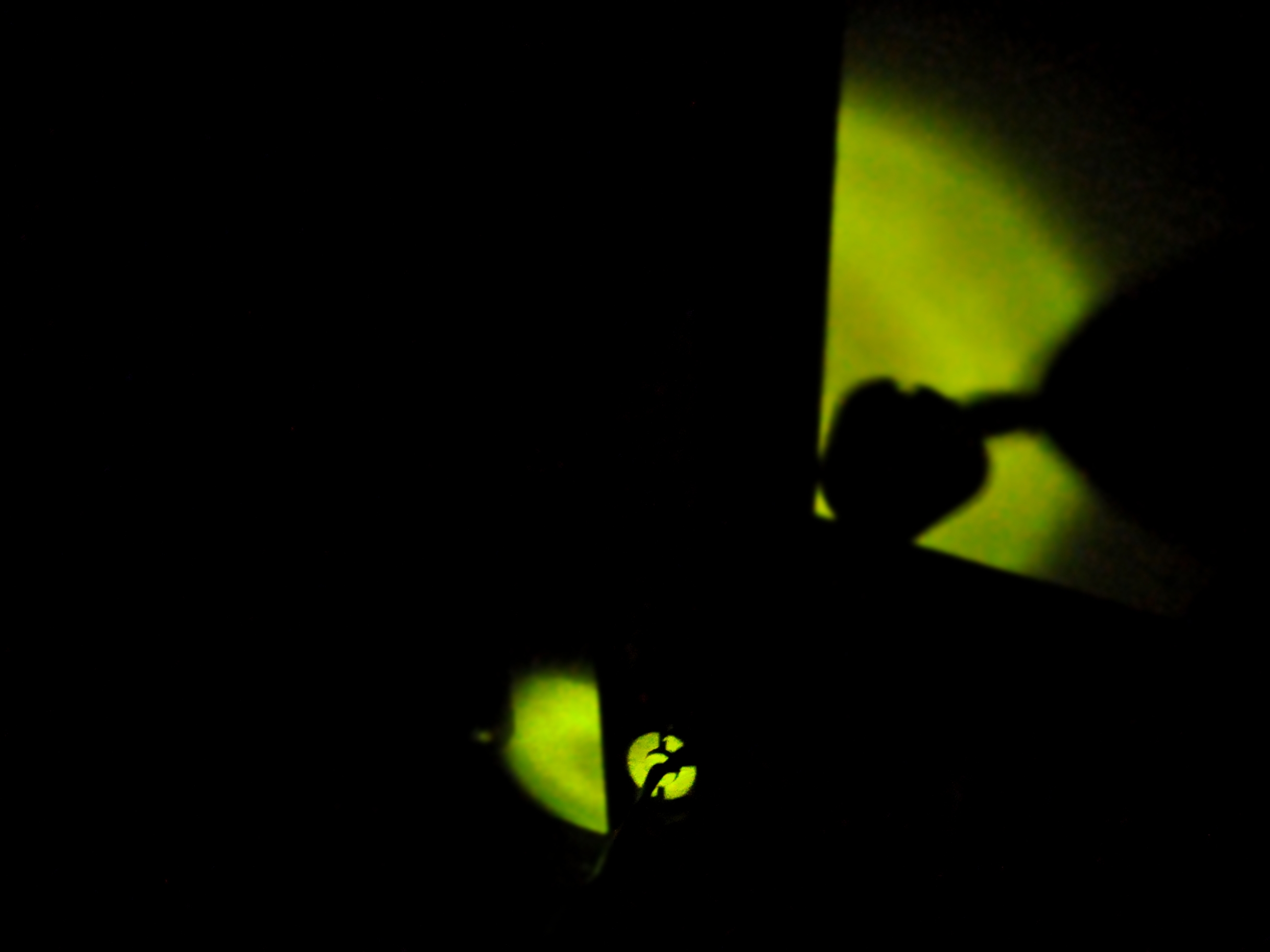 Resplandores en la noche (1)