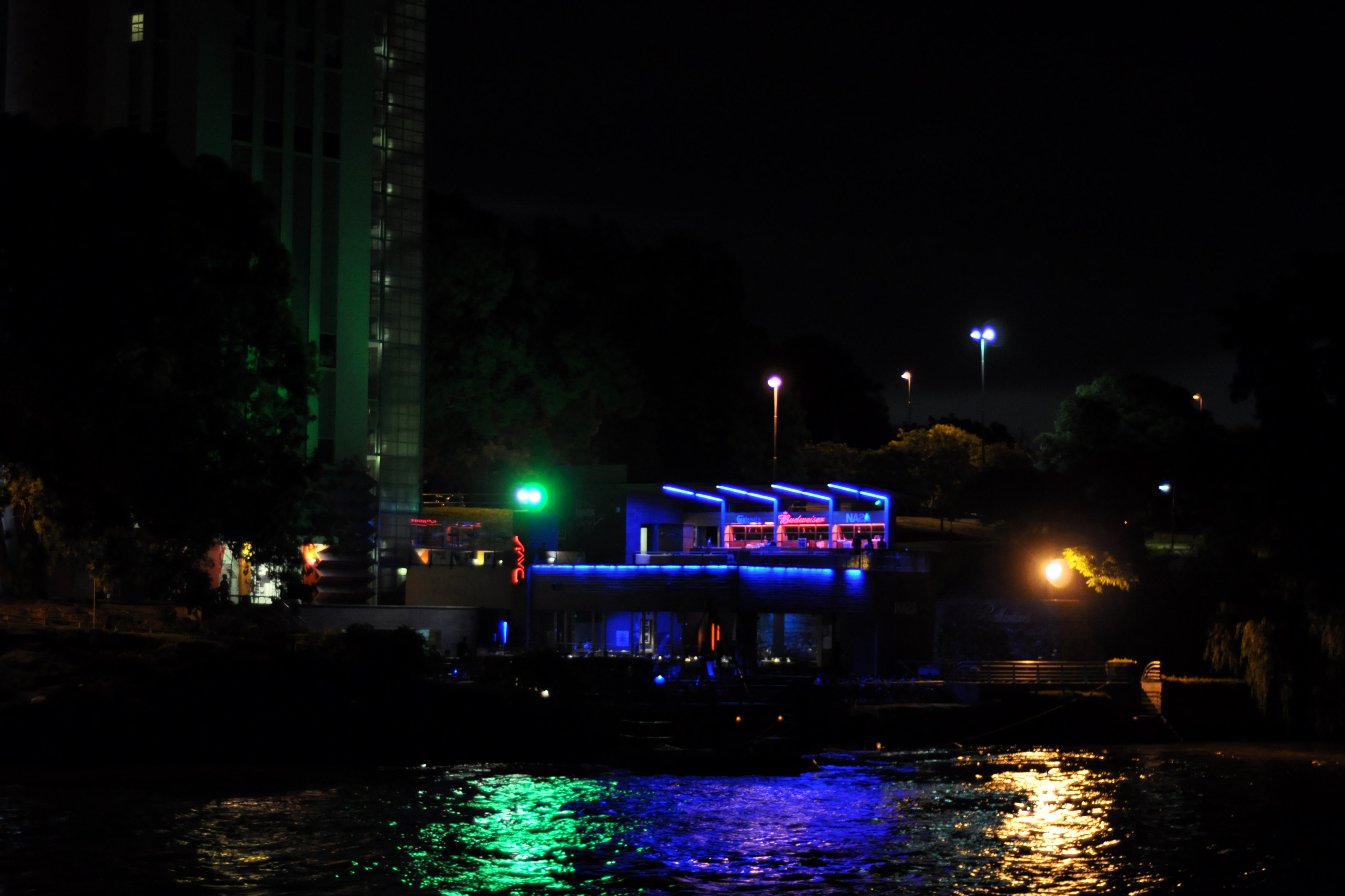 Rosario de noche desde el río (2)