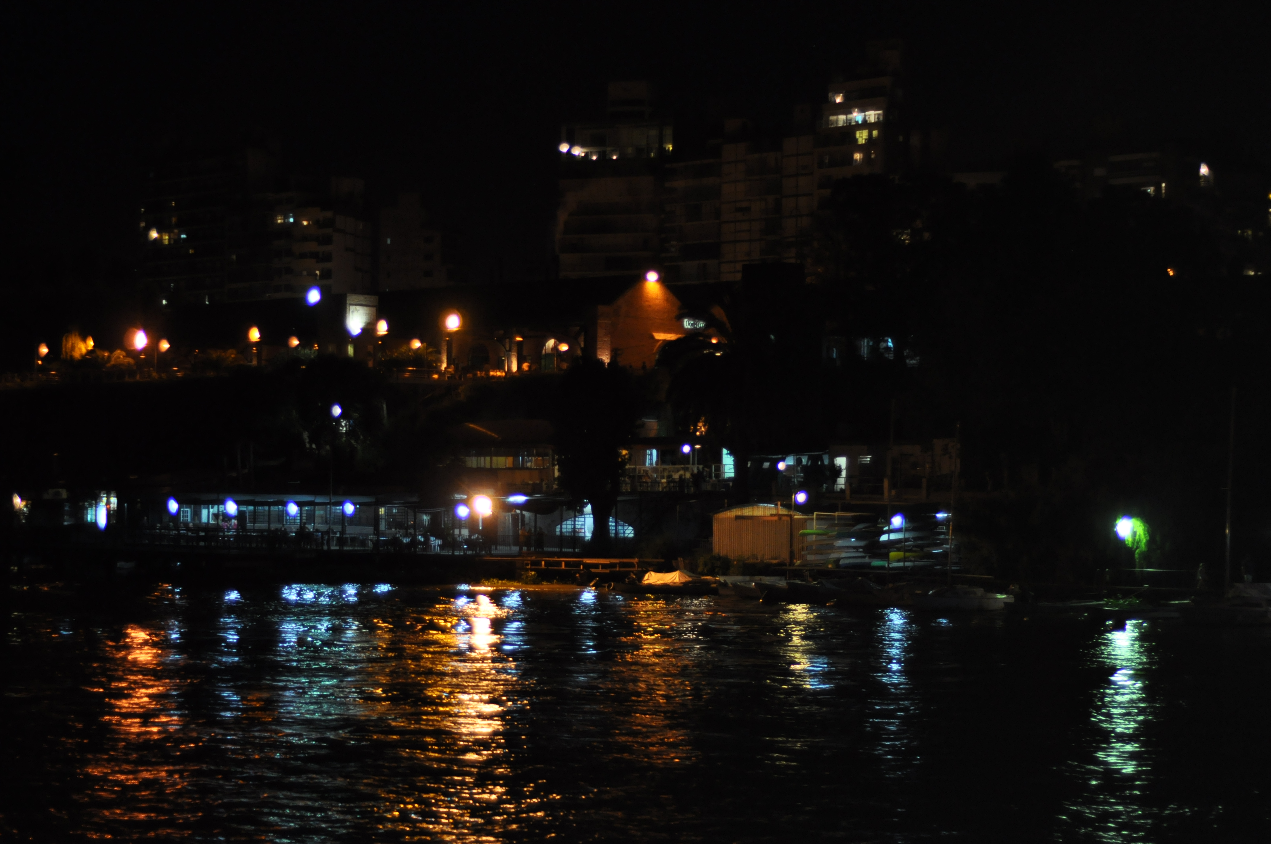 Rosario de noche desde el río (3)