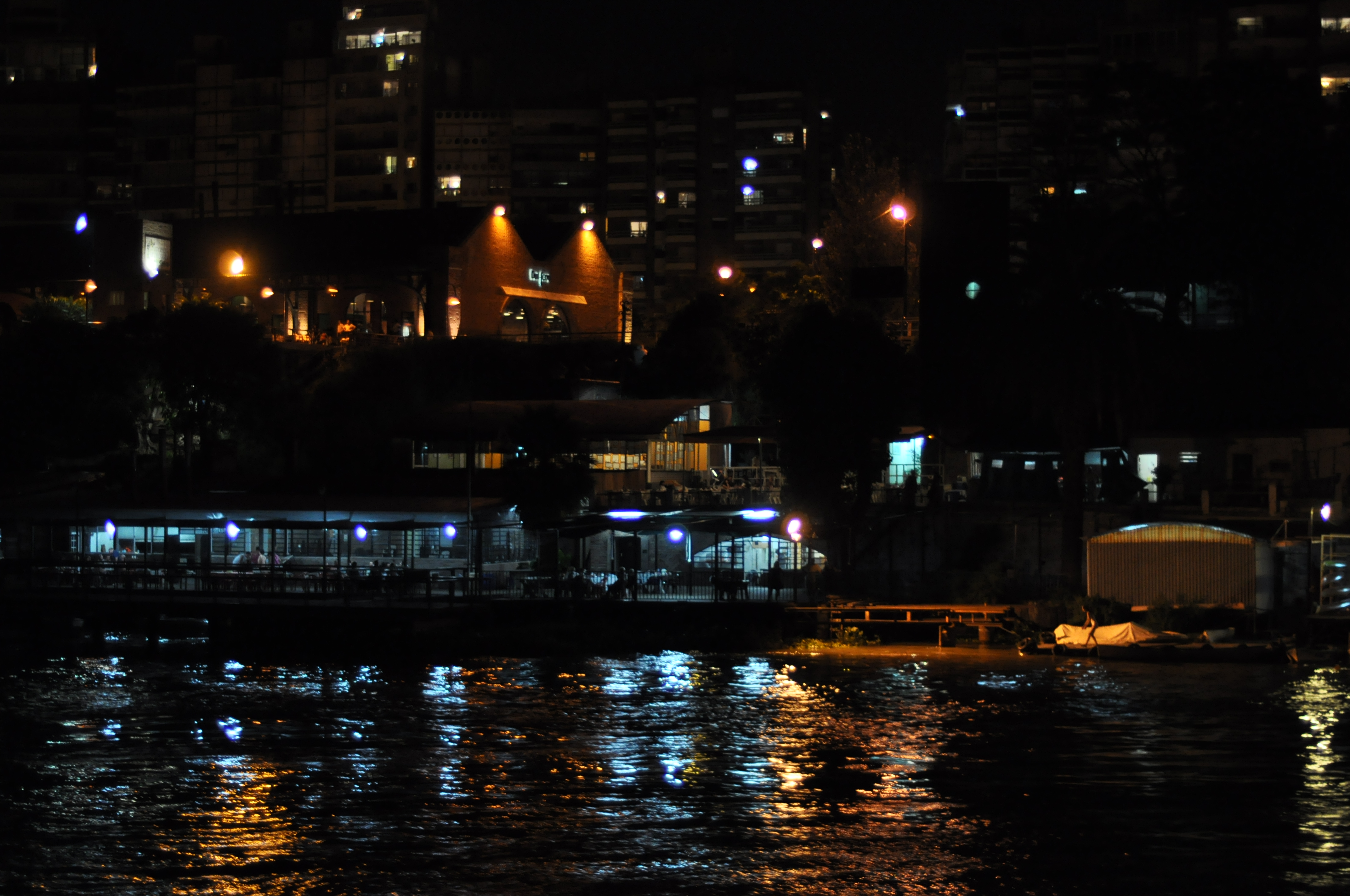 Rosario de noche desde el río (4)