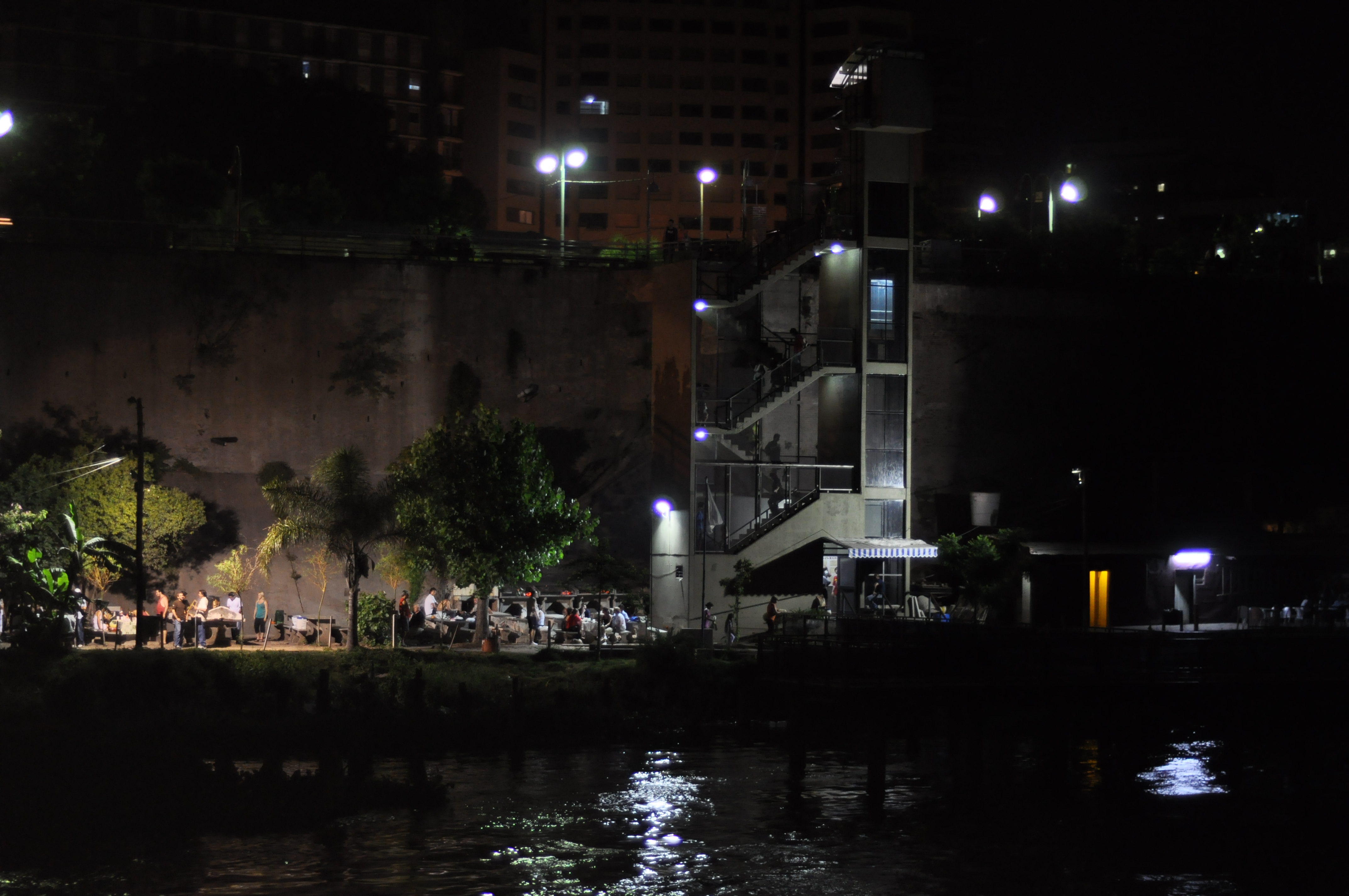 Rosario de noche desde el río (5)