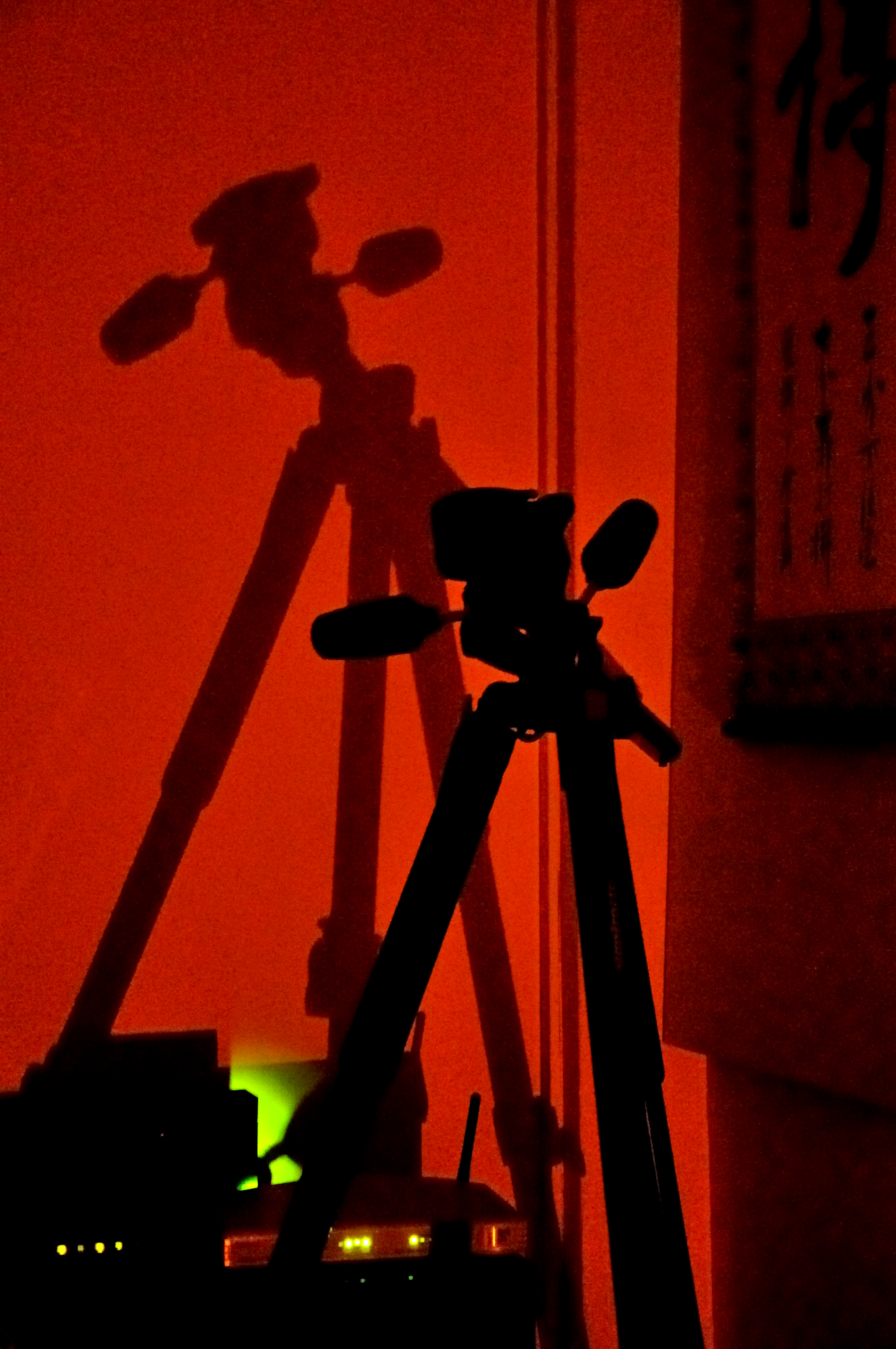 Sombras en la noche (1)