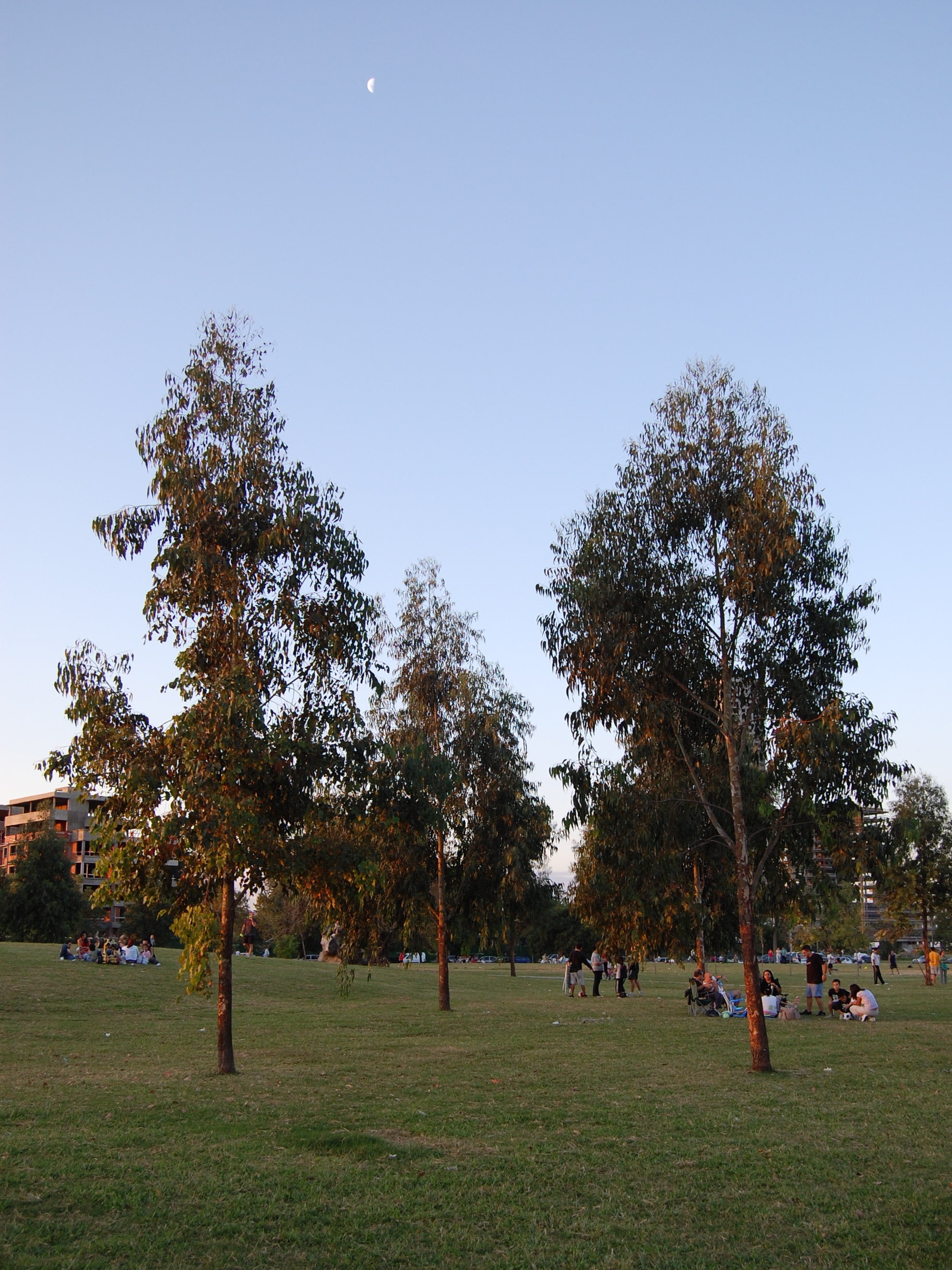 Tardecita en el parque Scalabrini Ortiz