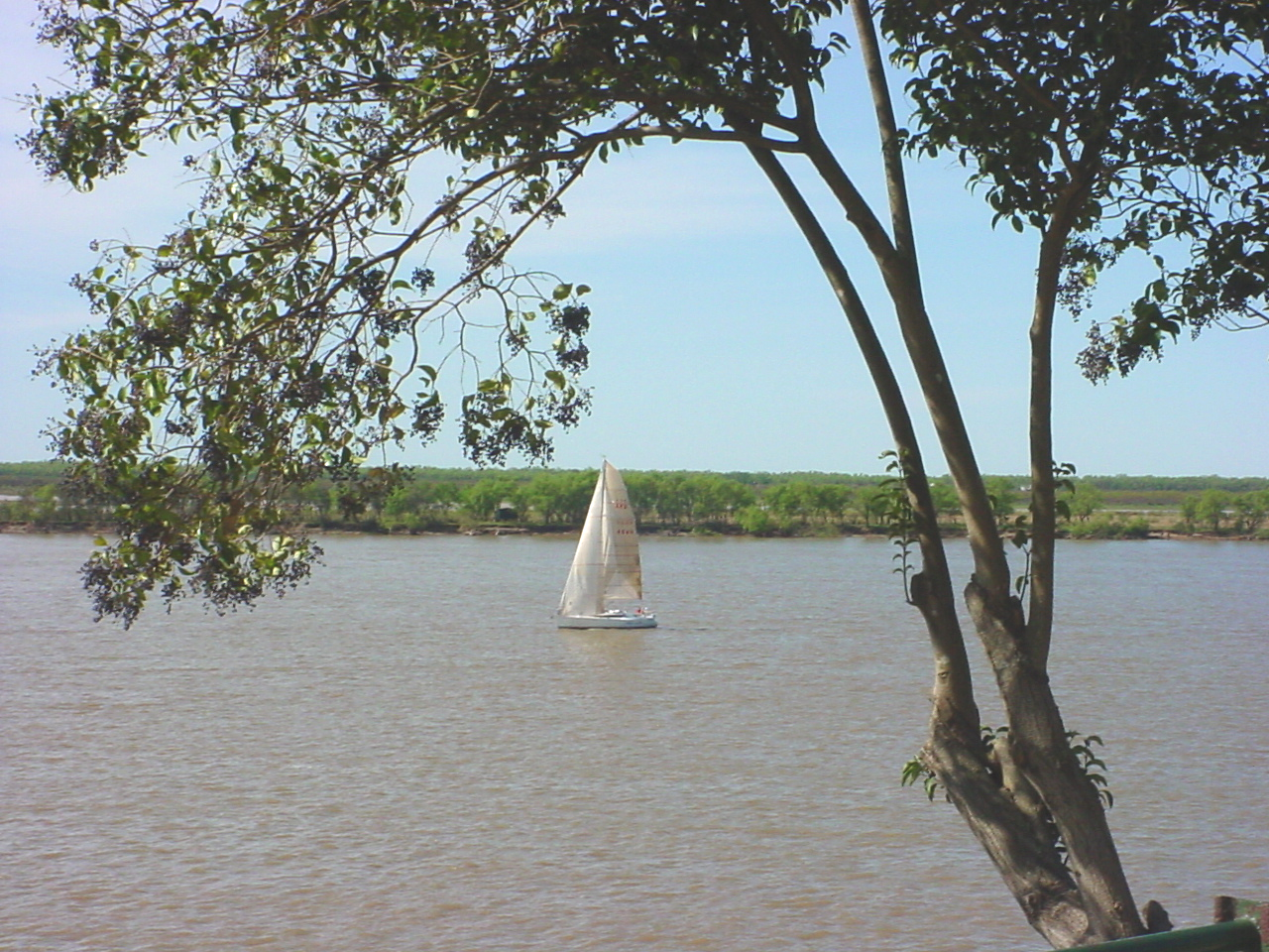 Velero en el Paraná