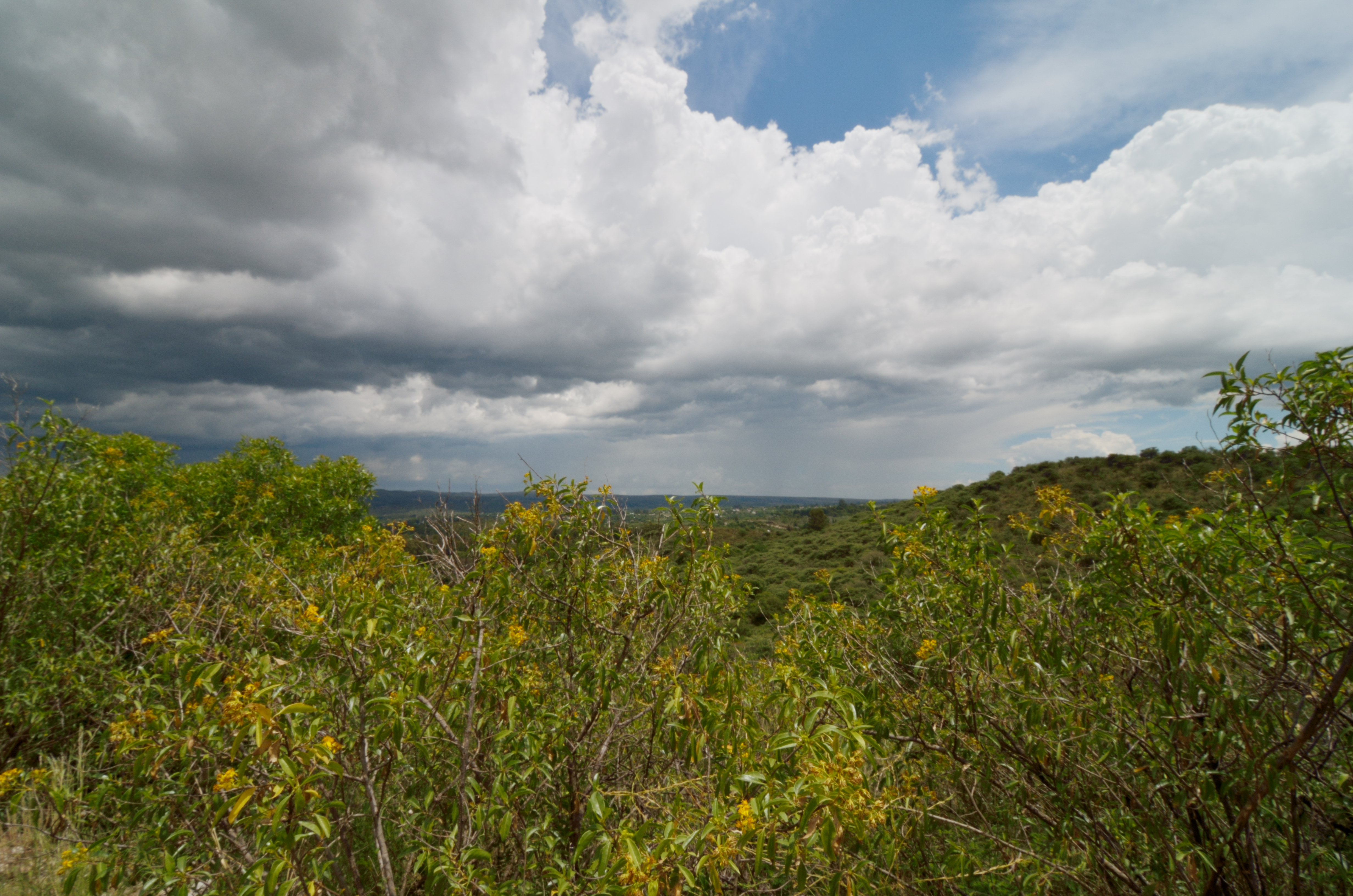 Vista en el Parador El Dragón (6)